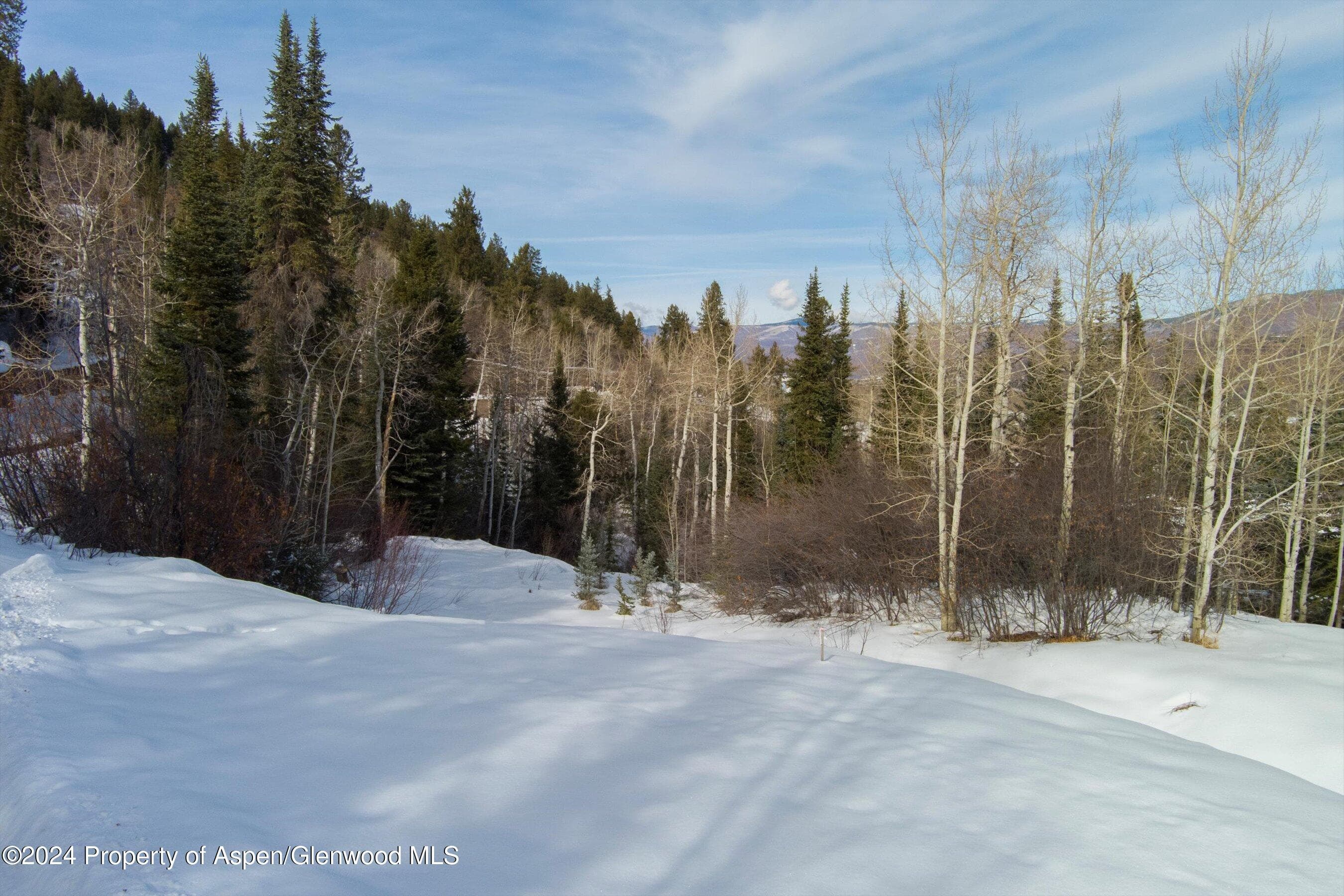 Tbd Pfister Drive, Aspen, CO 81611 - Photo 9