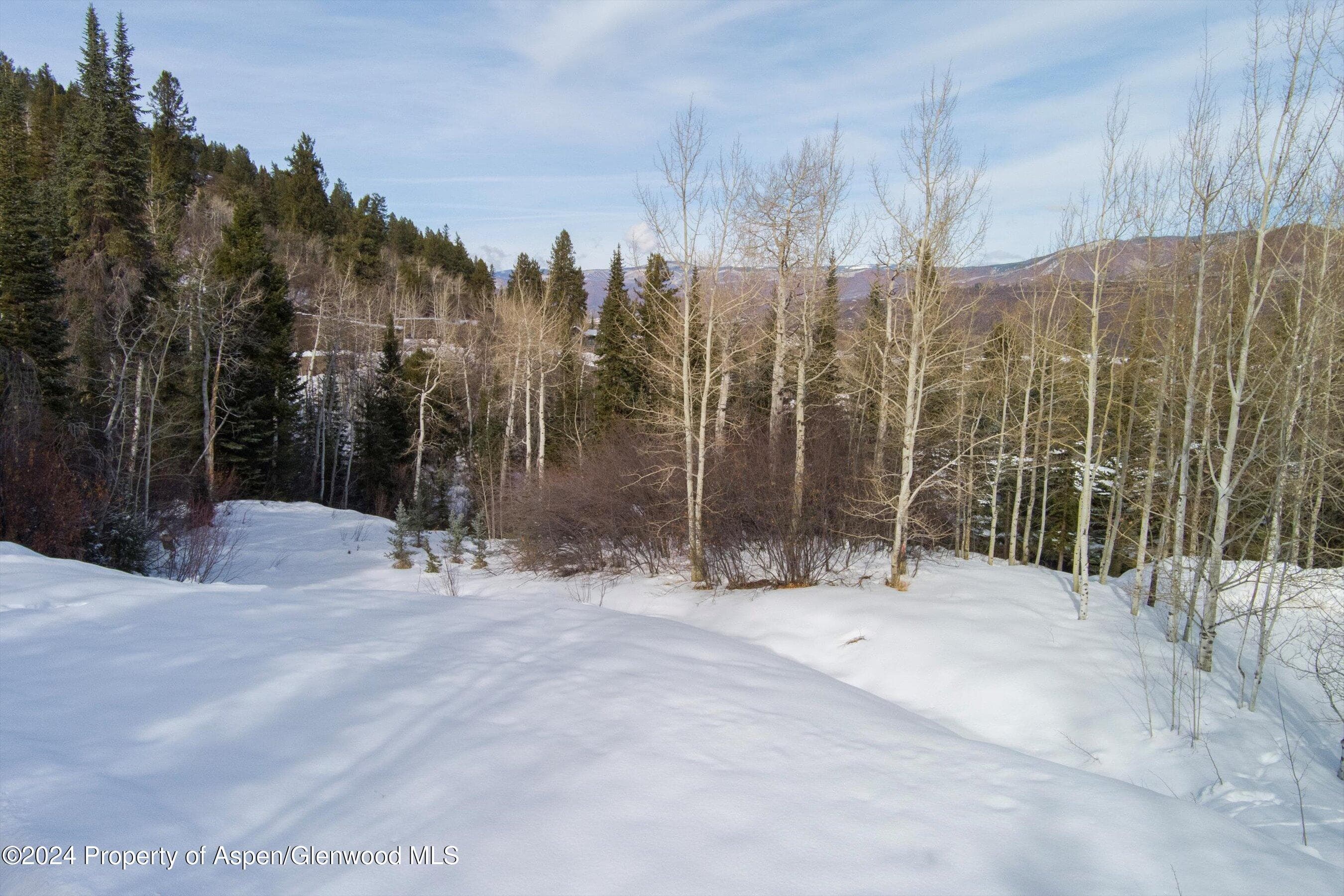 Tbd Pfister Drive, Aspen, CO 81611 - Photo 10