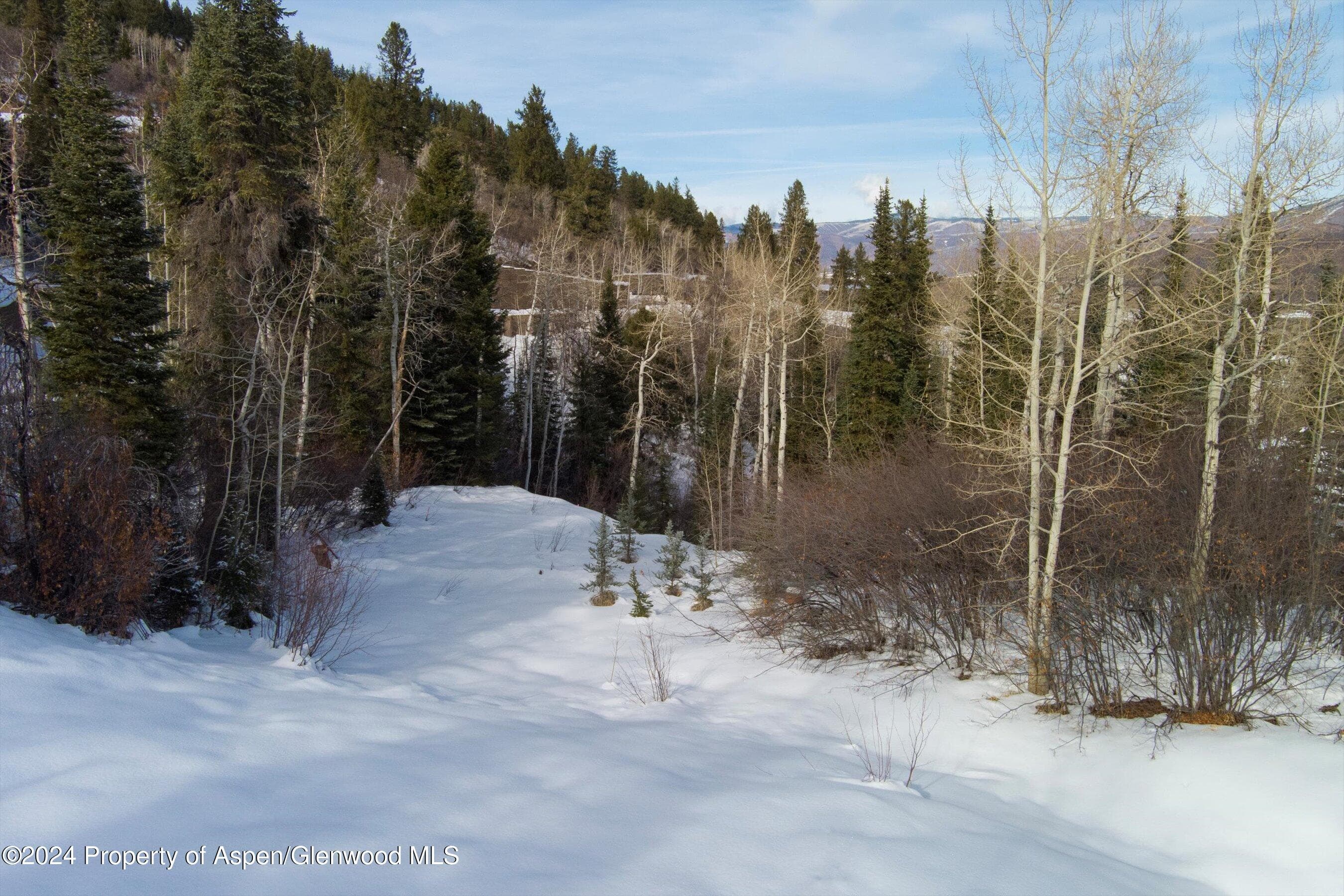 Tbd Pfister Drive, Aspen, CO 81611 - Photo 11