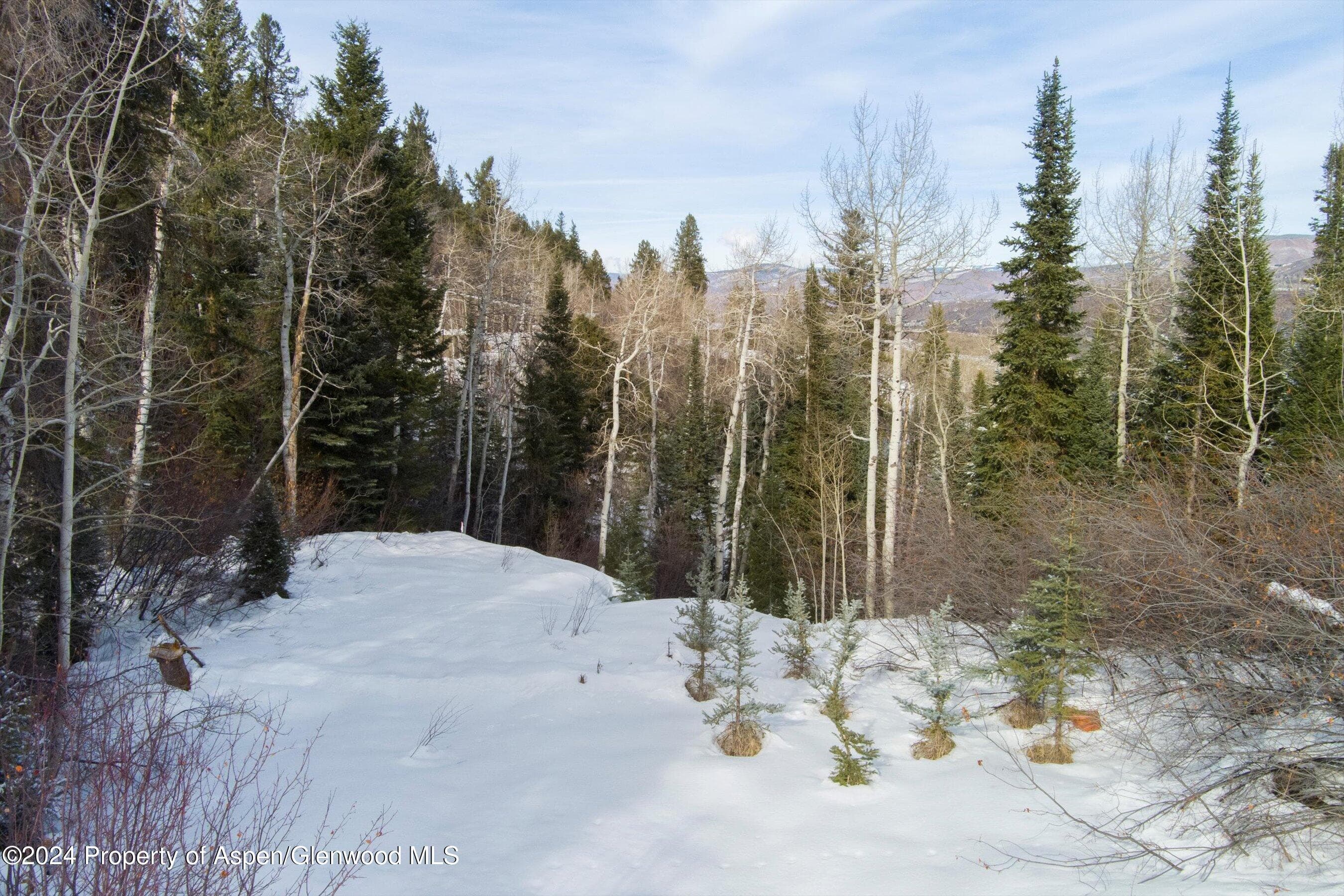 Tbd Pfister Drive, Aspen, CO 81611 - Photo 12