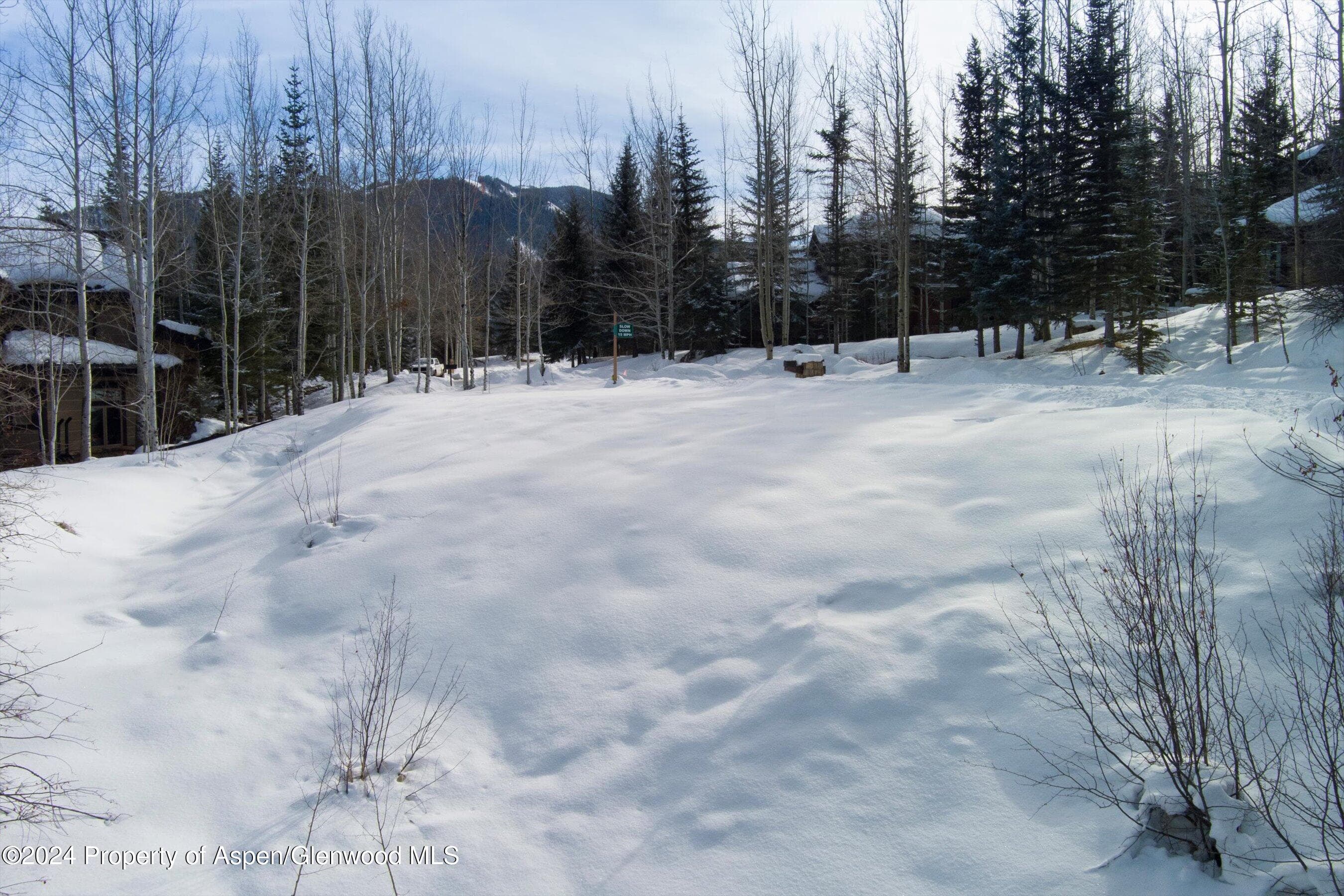 Tbd Pfister Drive, Aspen, CO 81611 - Photo 13
