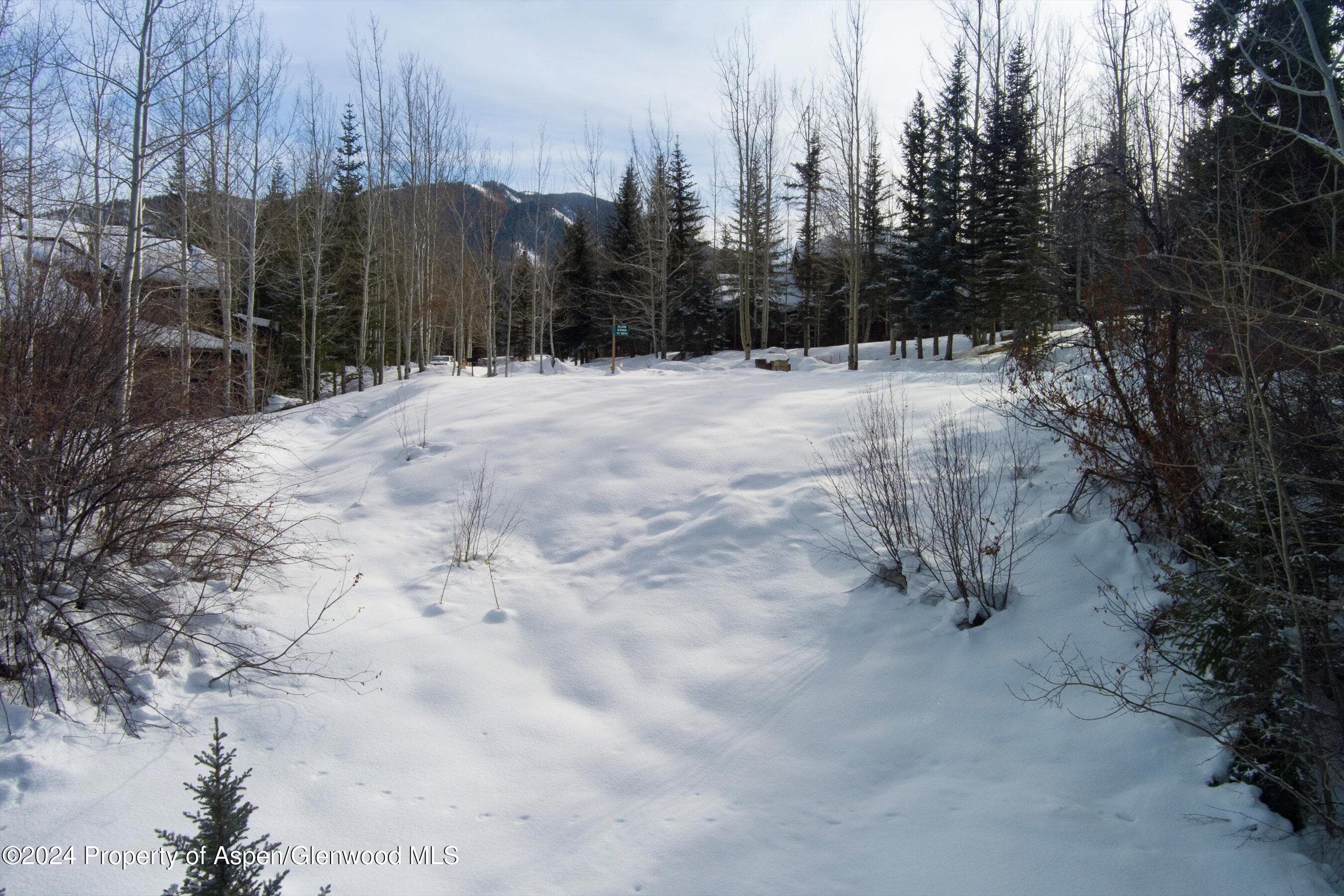 Tbd Pfister Drive, Aspen, CO 81611 - Photo 14