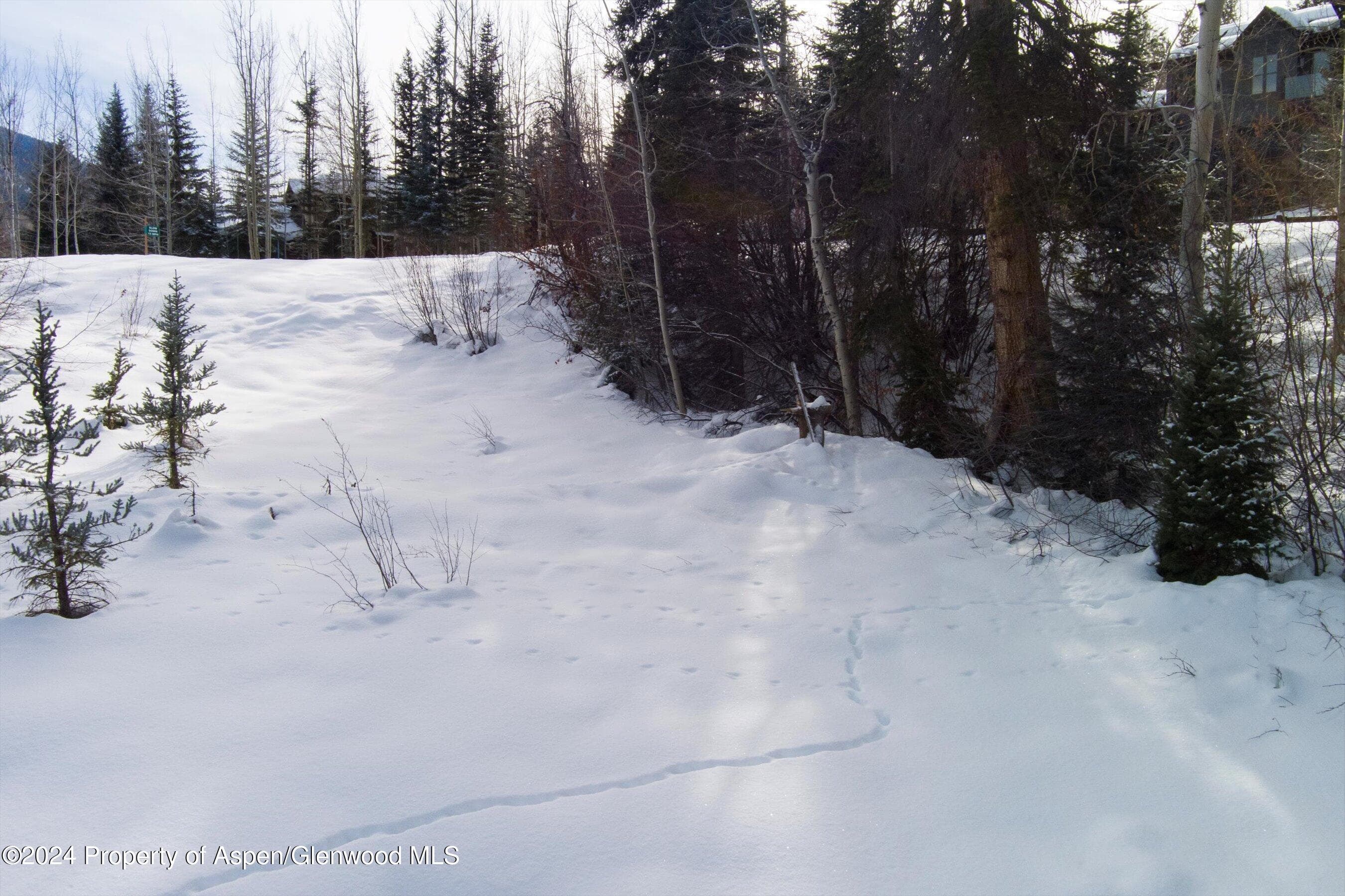 Tbd Pfister Drive, Aspen, CO 81611 - Photo 15