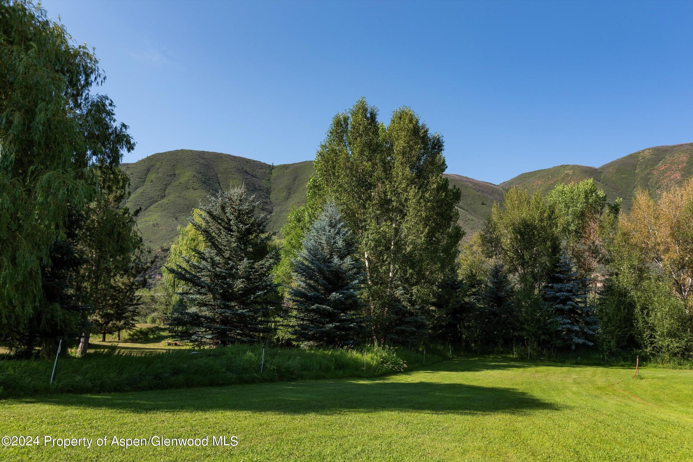 22 Bishop Drive, Basalt, CO 81621 - Photo 4