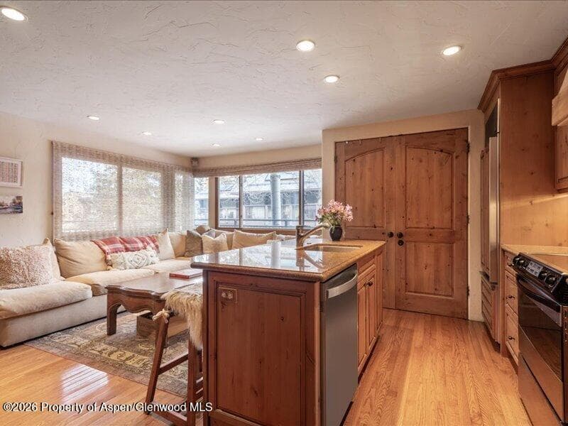 700 S Monarch Street 107, Aspen, CO 81611 - Photo 4