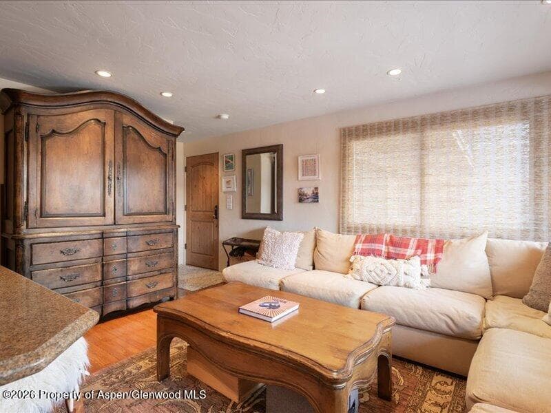 700 S Monarch Street 107, Aspen, CO 81611 - Photo 5