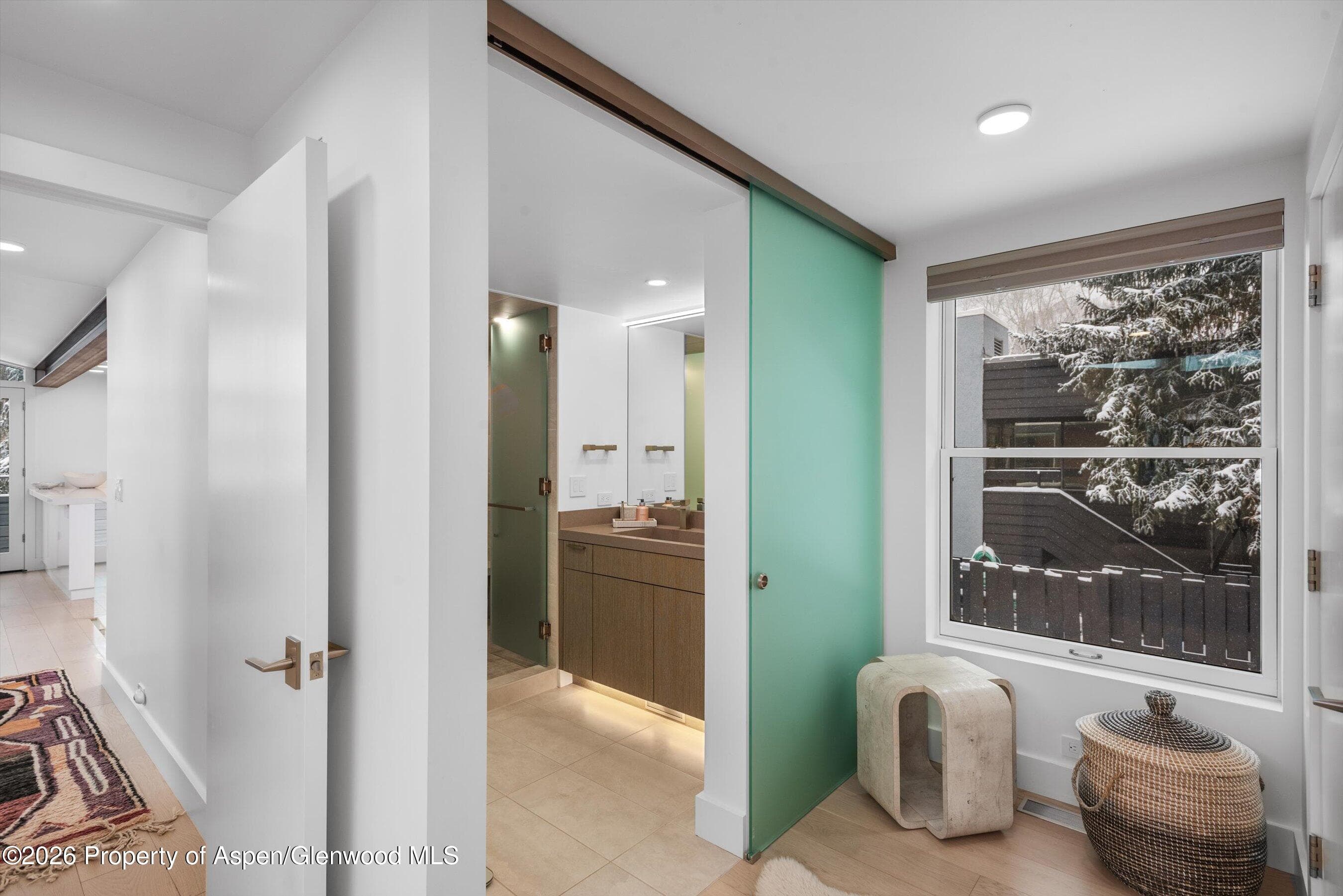 1001 E Cooper Avenue 1, Aspen, CO 81611 - Photo 11