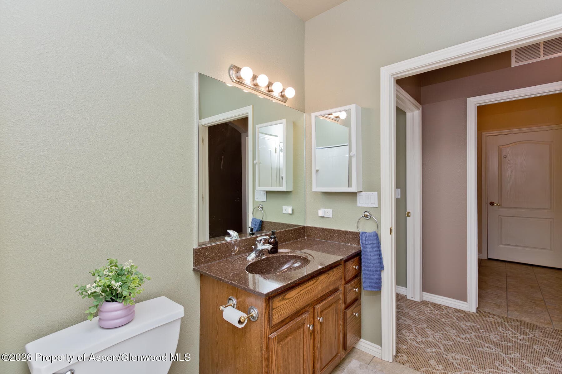 2482 Canvasback Place, Grand Junction, CO 81505 - Photo 23