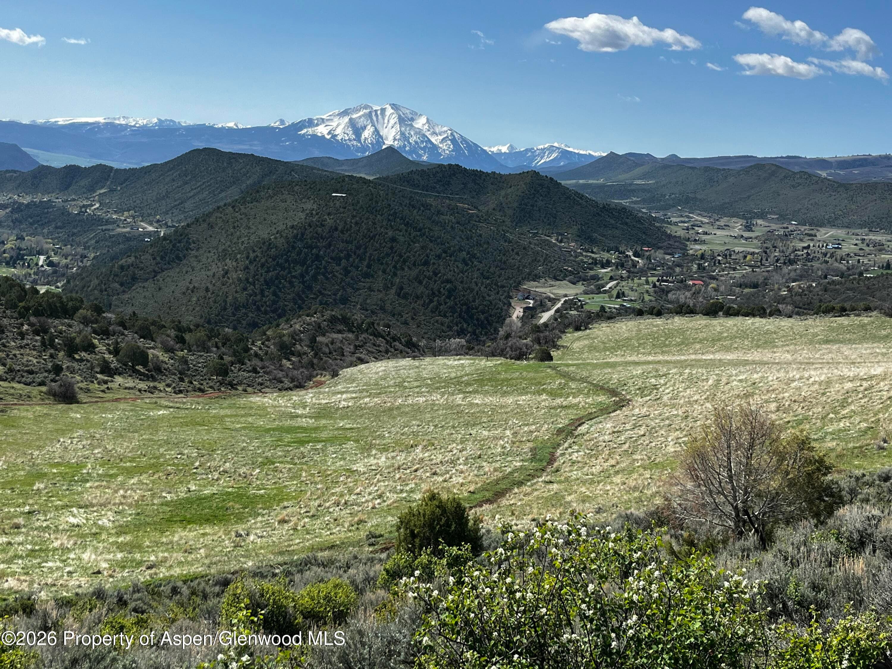 2833 County Road 117, Glenwood Springs, CO 81601 - Photo 4
