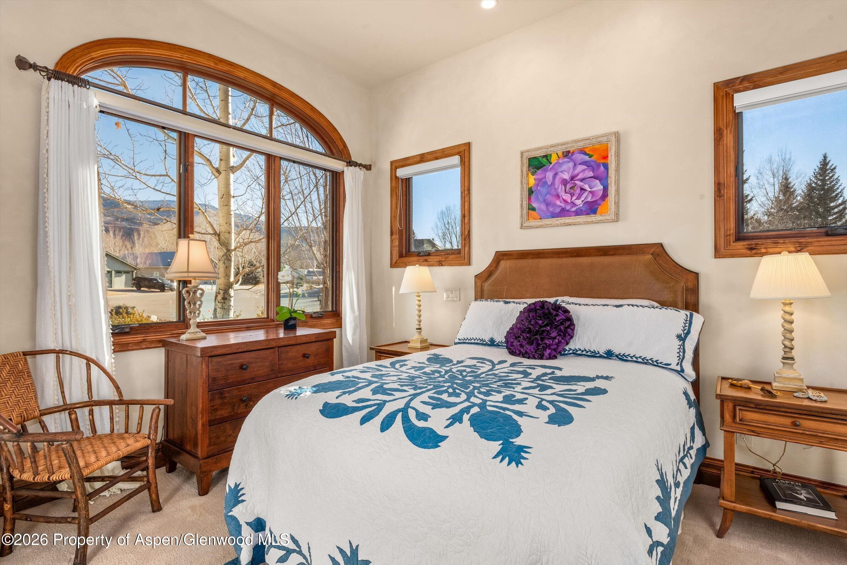 19 Buckskin Court, Carbondale, CO 81623 - Photo 22