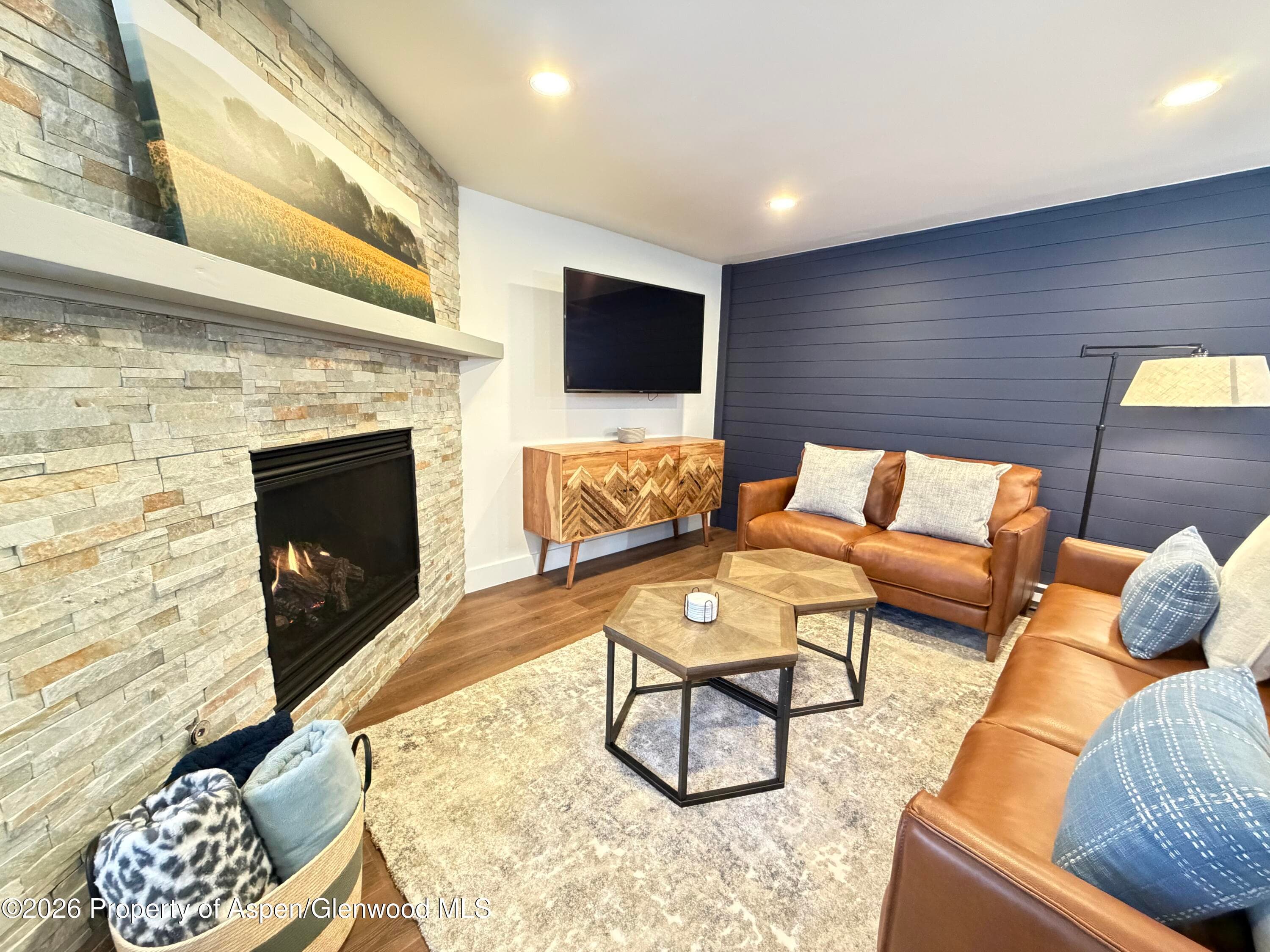 65 Campground Lane 90, Snowmass Village, CO 81615 - Photo 3