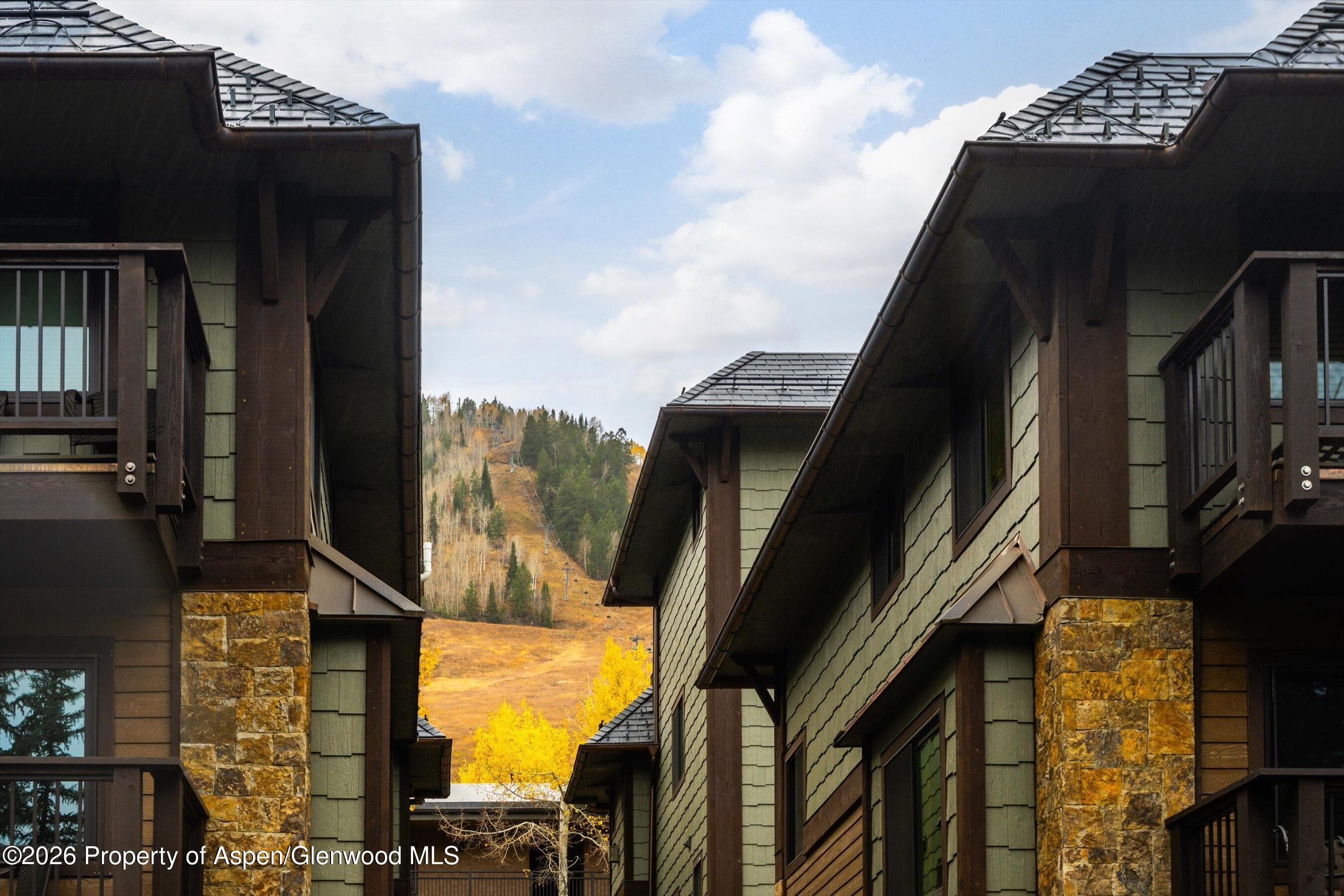 650 S Monarch Street 9, Aspen, CO 81611 - Photo 27