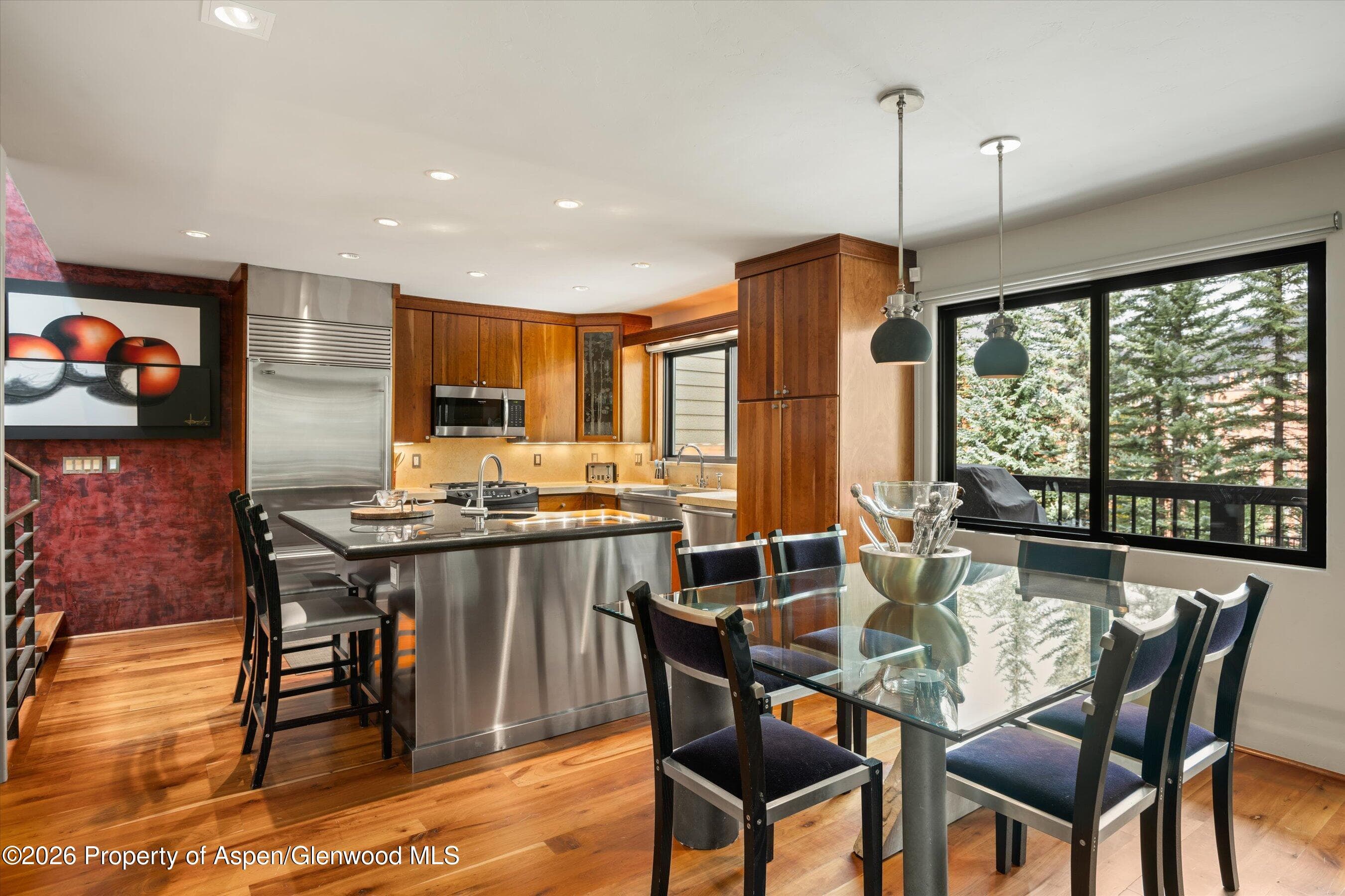 650 S Monarch Street 9, Aspen, CO 81611 - Photo 5