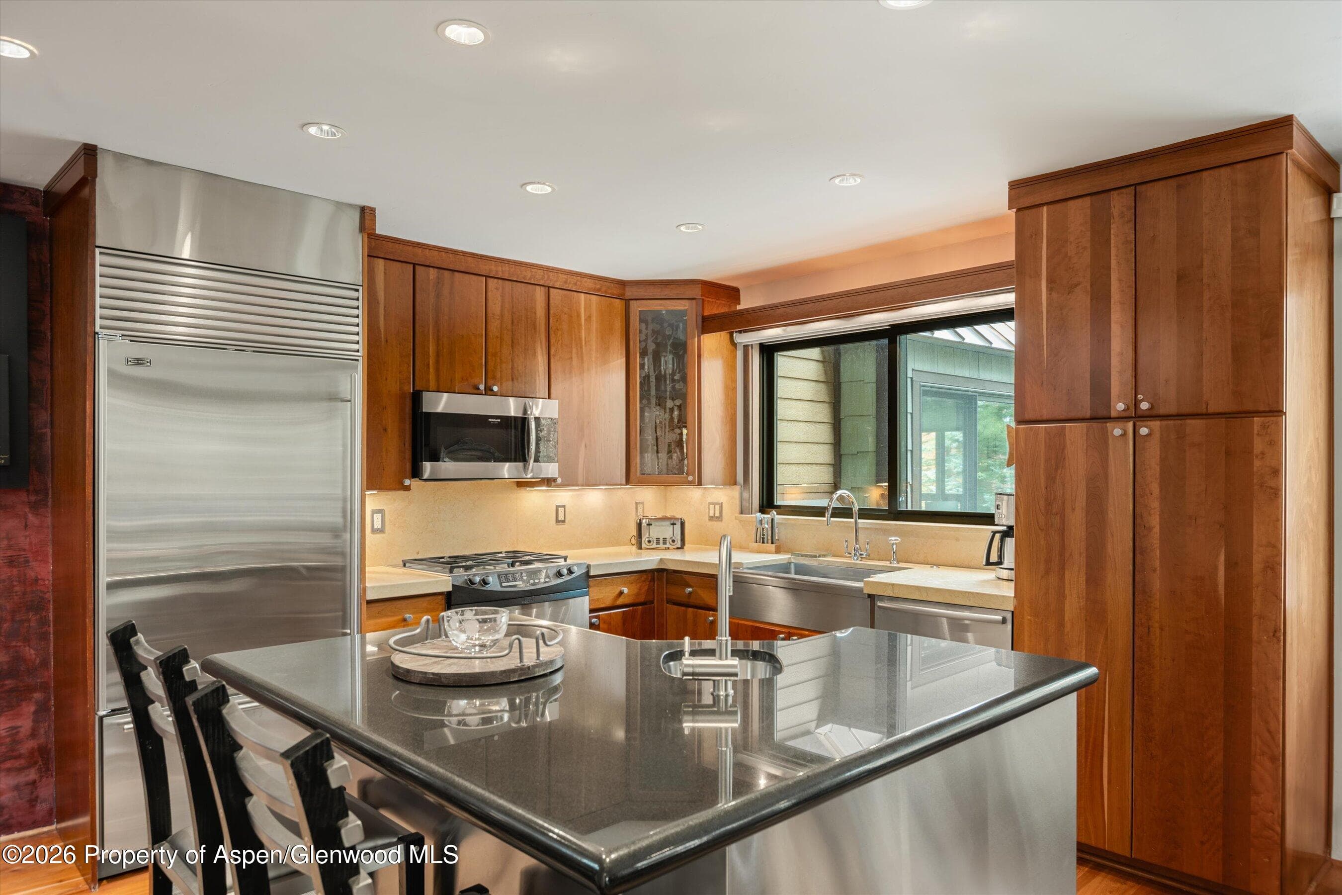 650 S Monarch Street 9, Aspen, CO 81611 - Photo 7