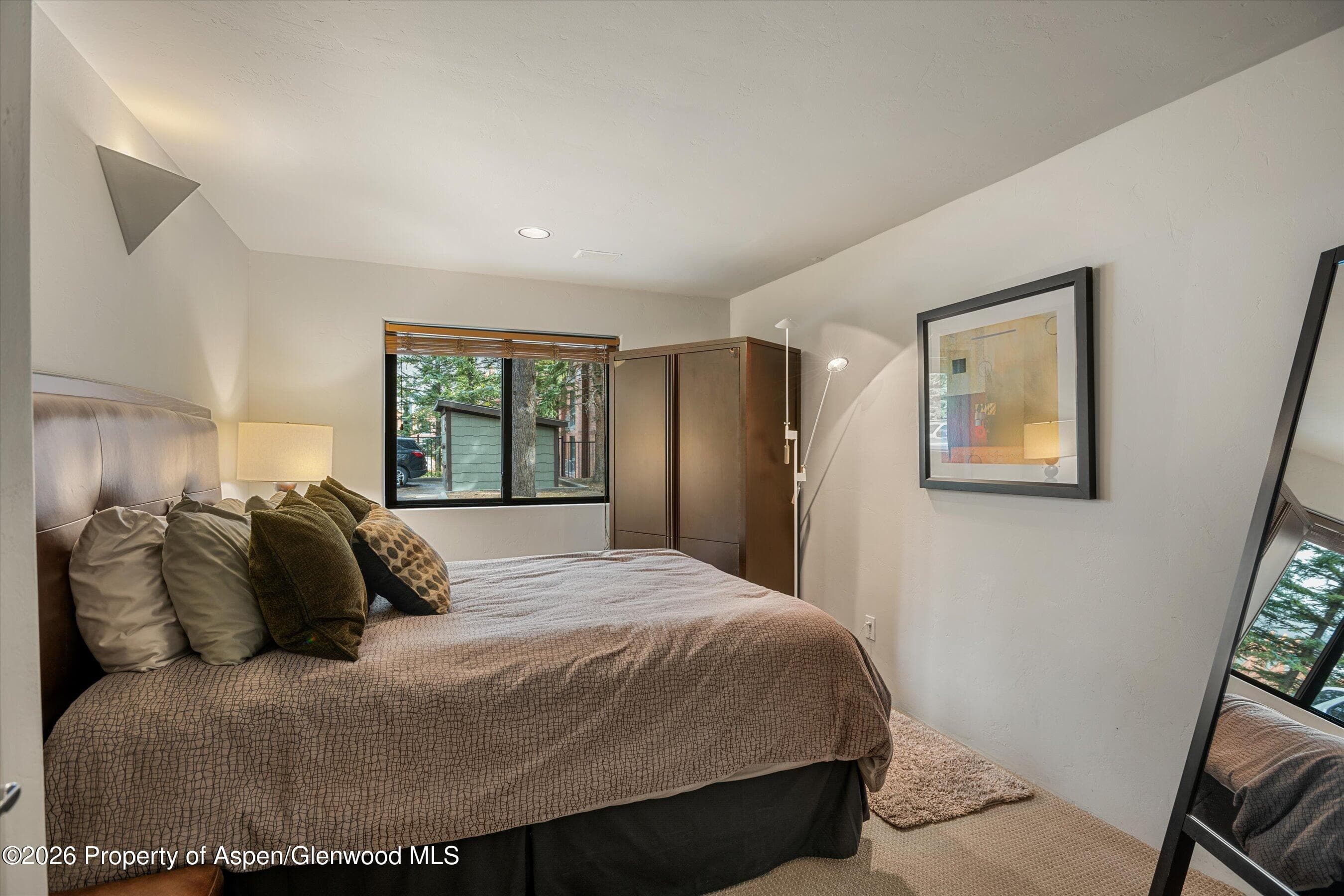 650 S Monarch Street 9, Aspen, CO 81611 - Photo 11