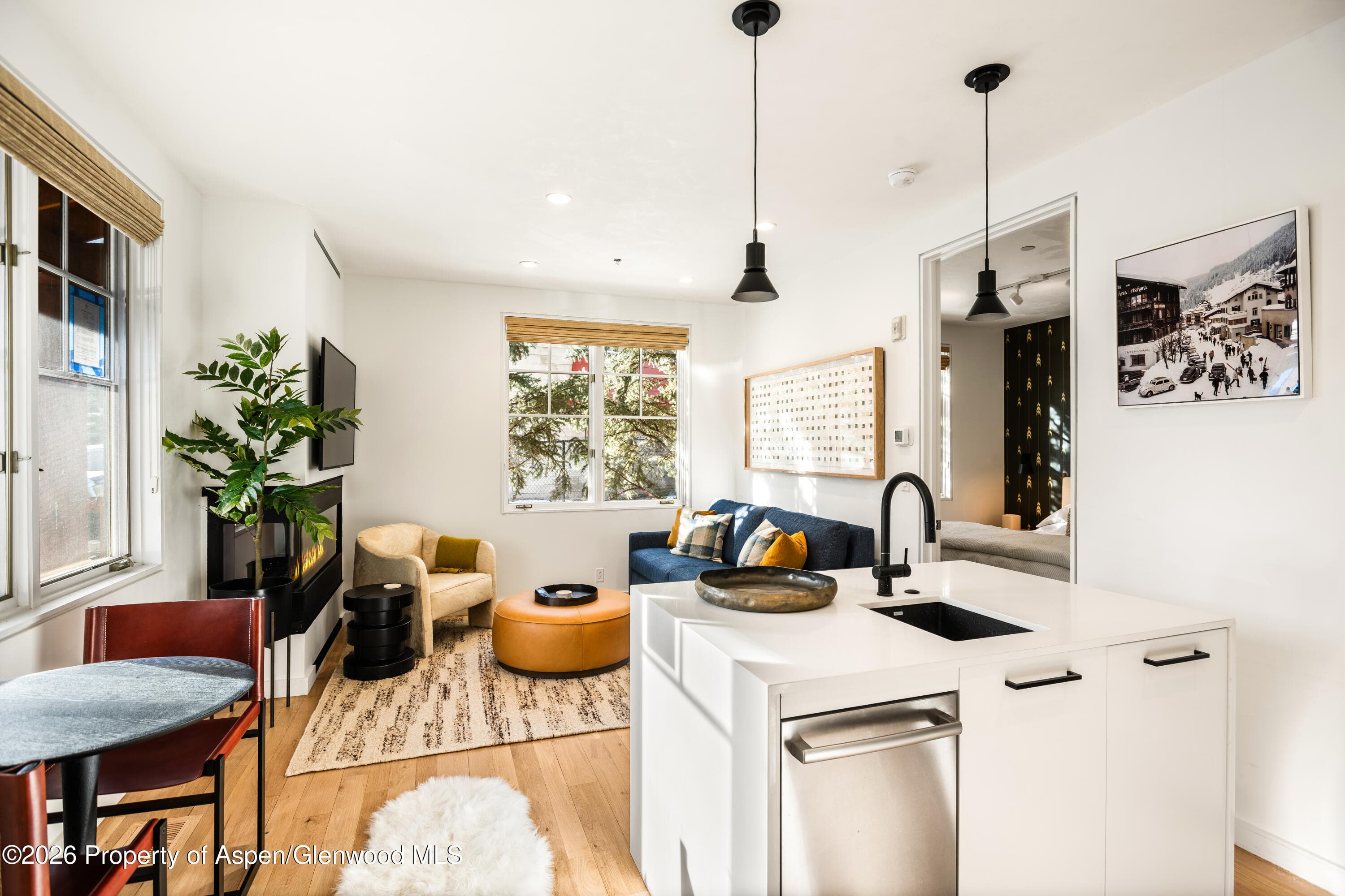 501 W Main Street A101, Aspen, CO 81611 - Photo 2