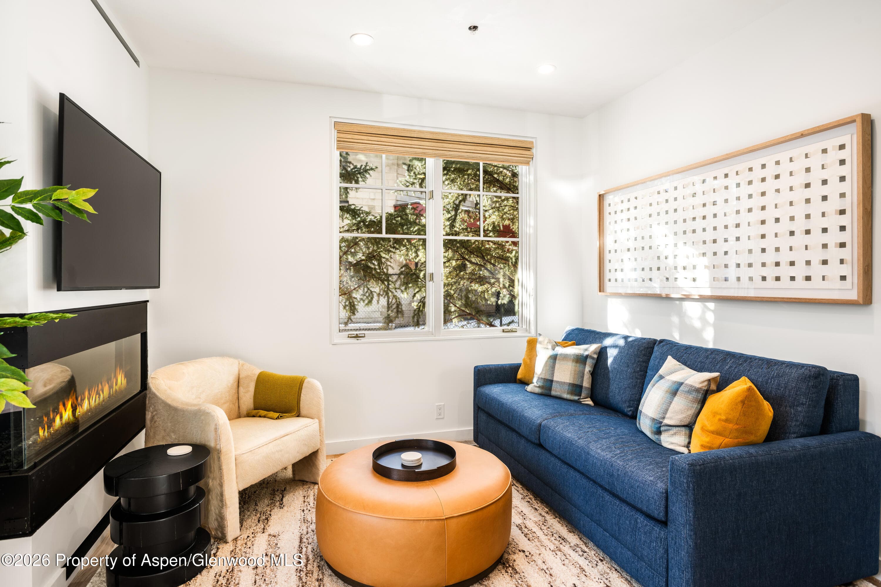 501 W Main Street A101, Aspen, CO 81611 - Photo 4