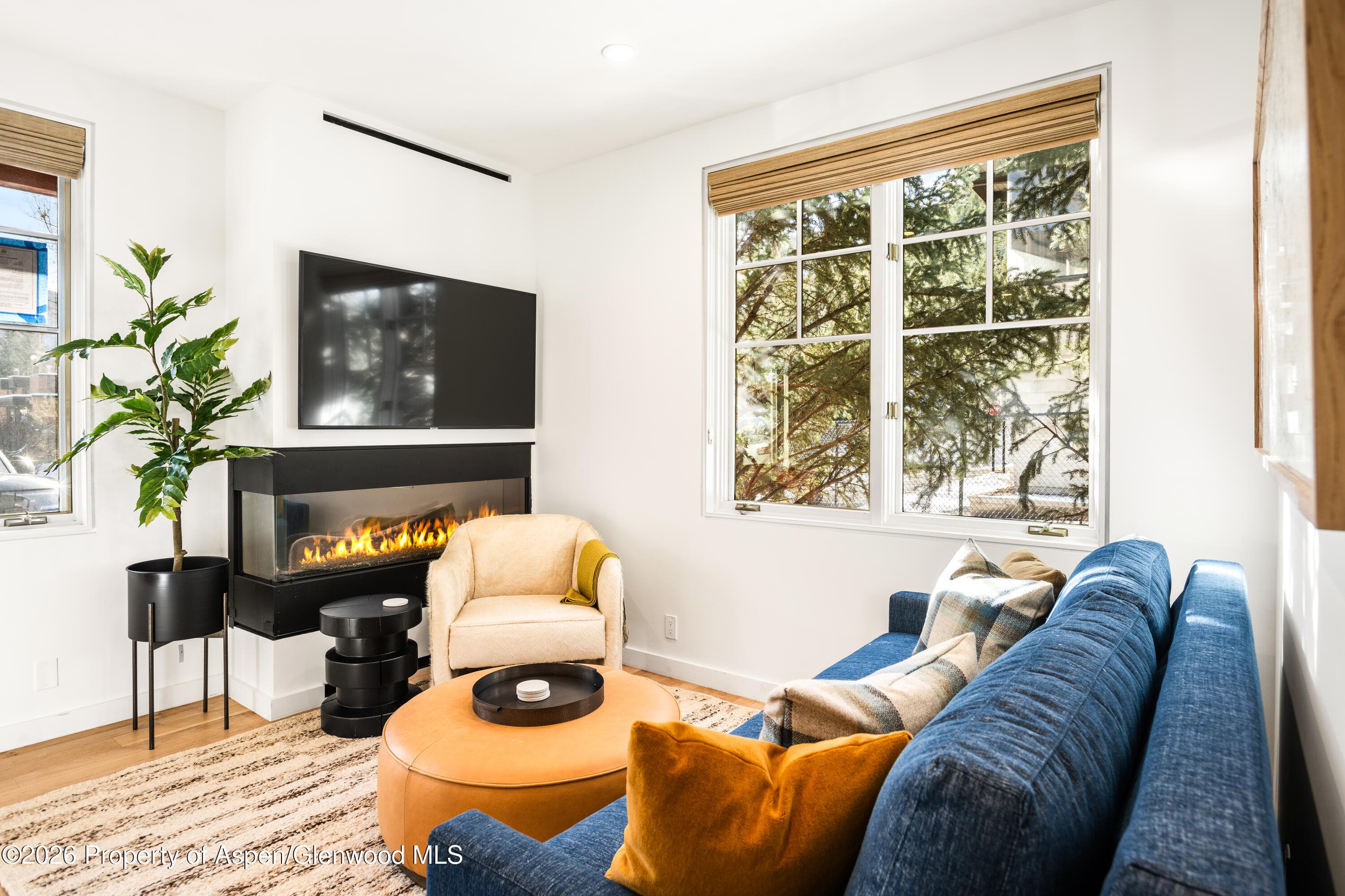 501 W Main Street A101, Aspen, CO 81611 - Photo 5