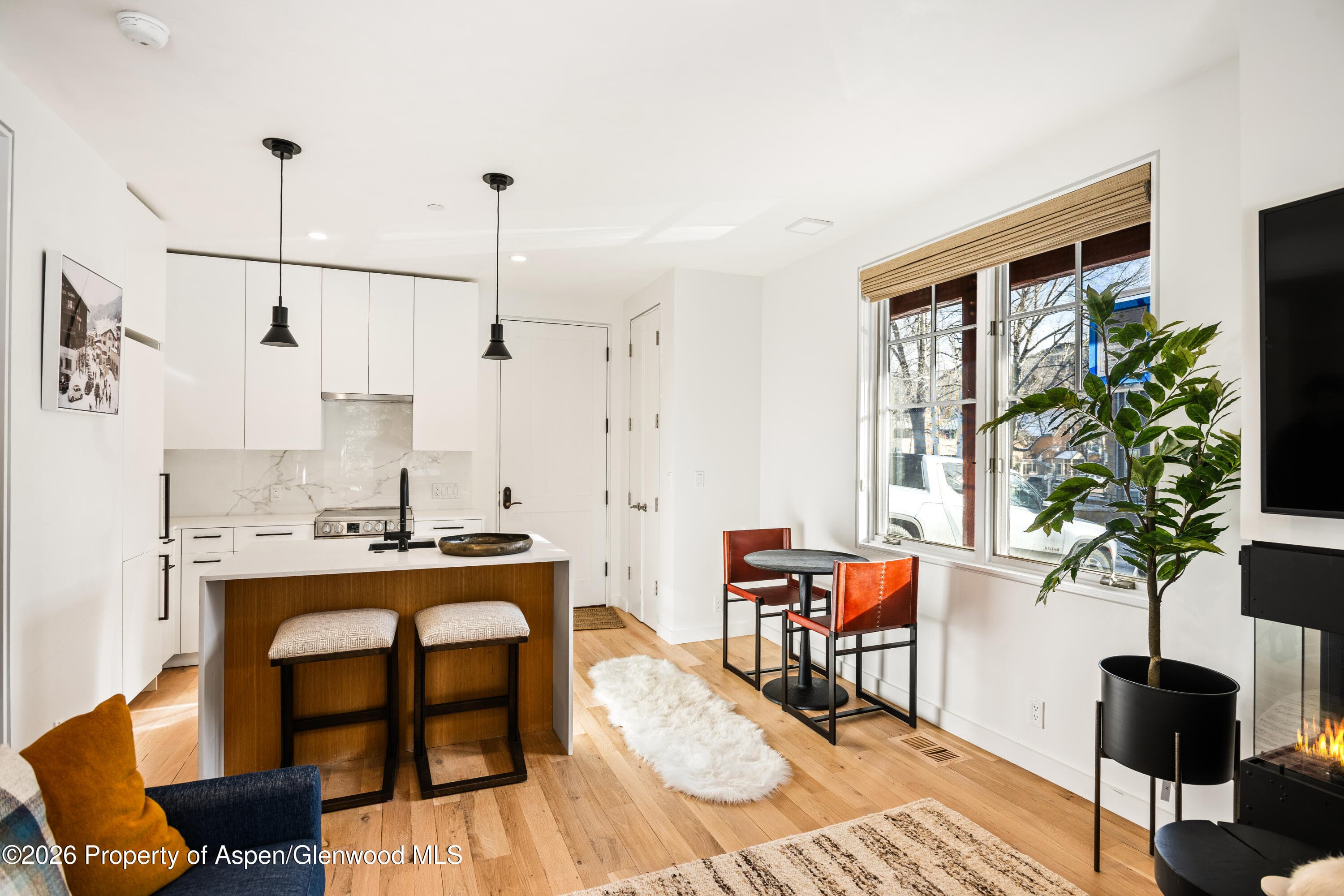 501 W Main Street A101, Aspen, CO 81611 - Photo 7