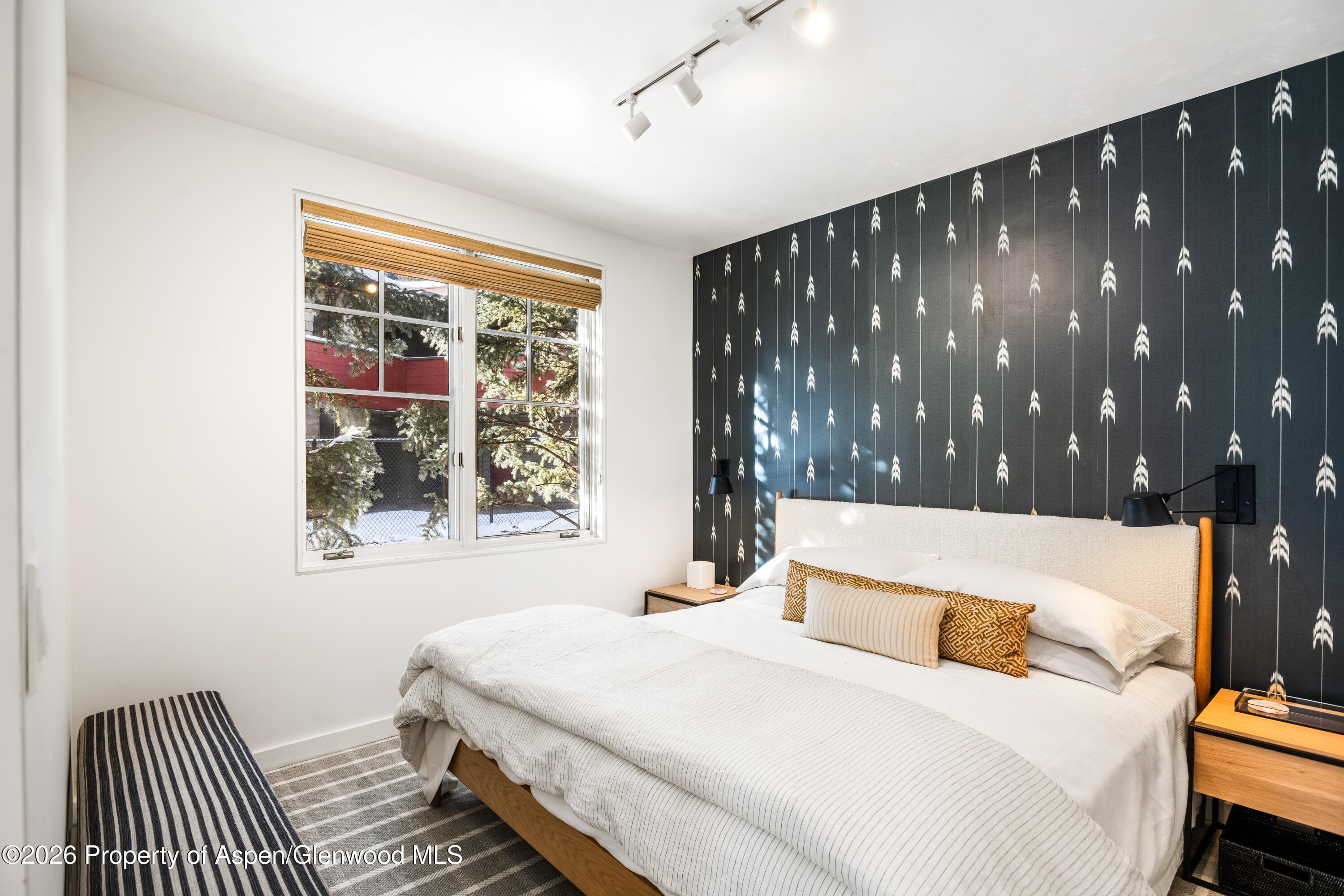 501 W Main Street A101, Aspen, CO 81611 - Photo 8