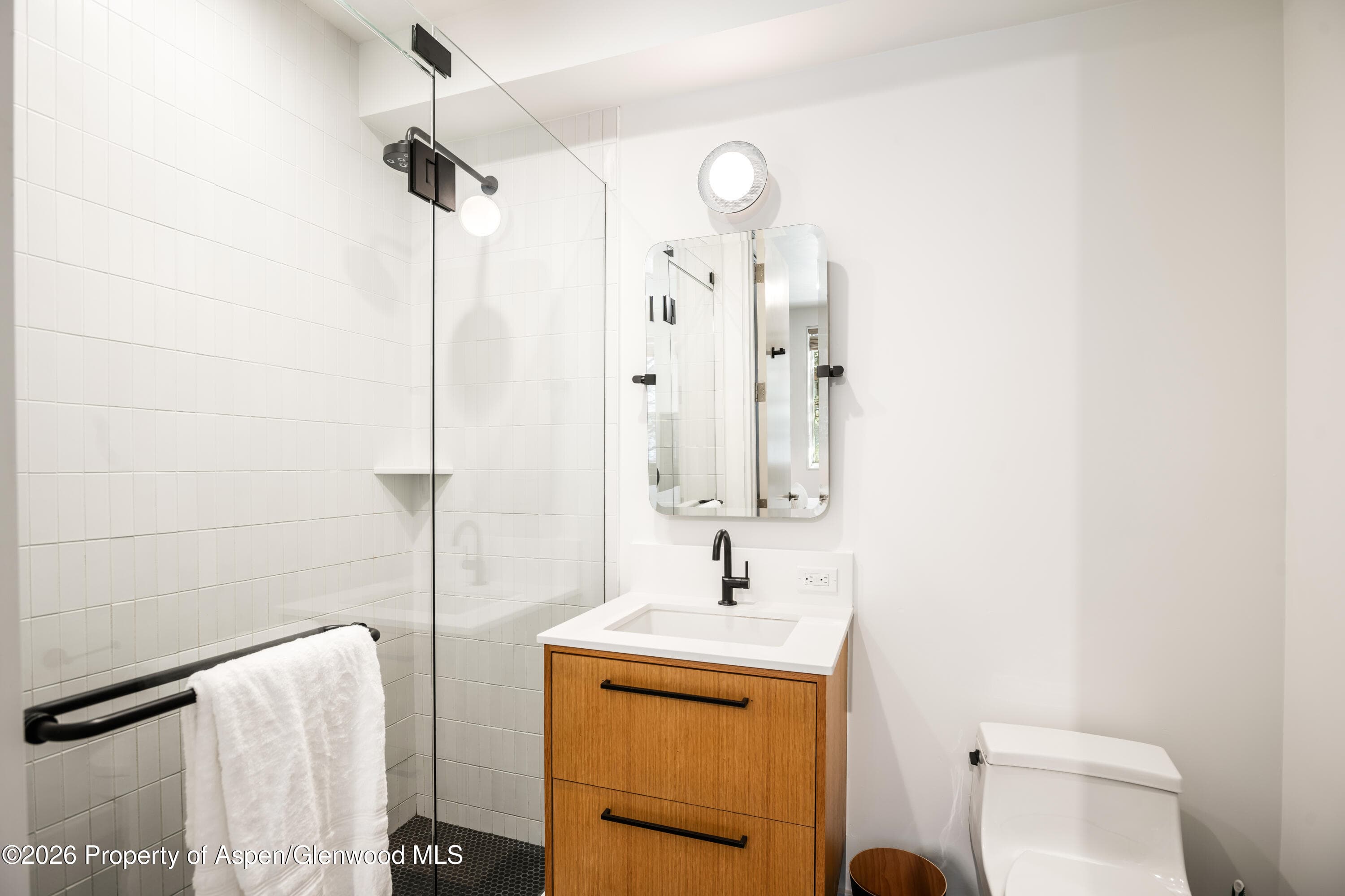 501 W Main Street A101, Aspen, CO 81611 - Photo 9