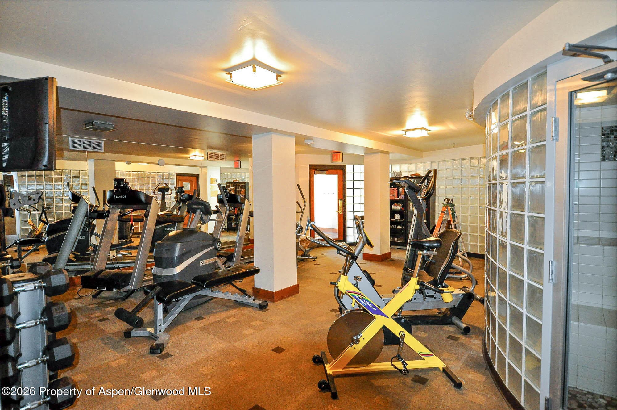 400 Wood Road 1204, Snowmass Village, CO 81615 - Photo 27