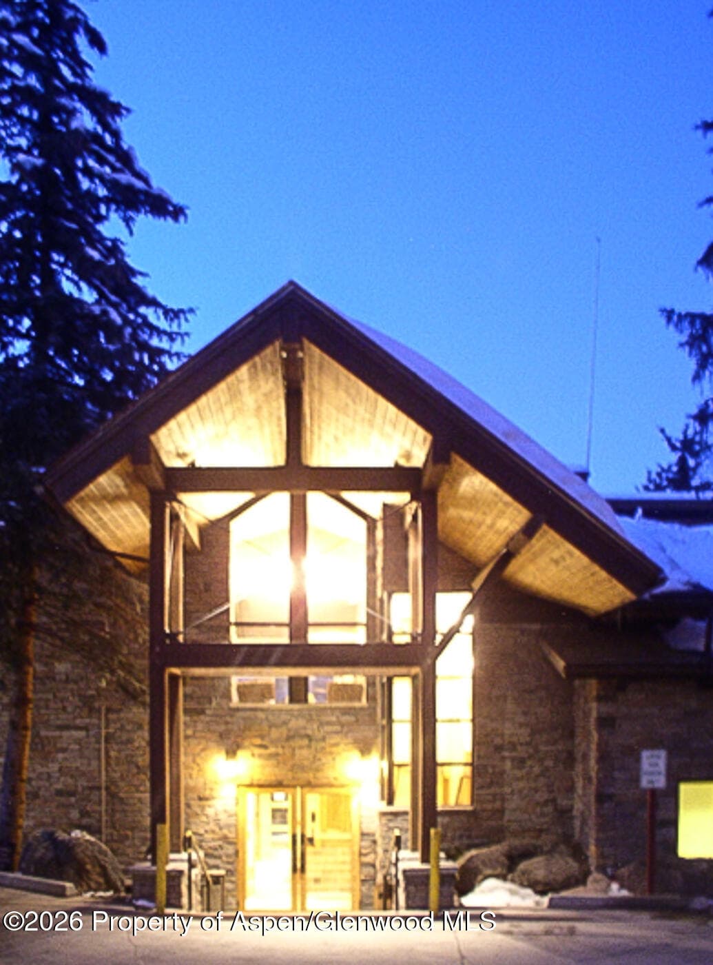 400 Wood Road 1204, Snowmass Village, CO 81615 - Photo 28