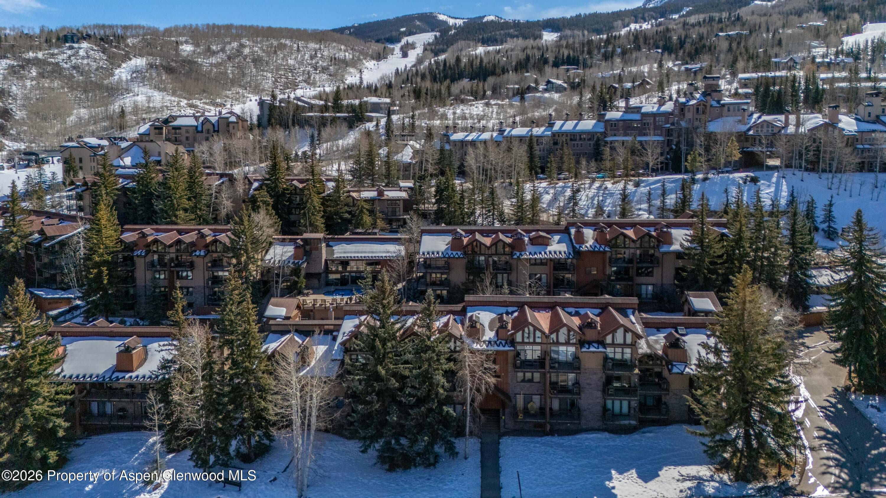 400 Wood Road 1204, Snowmass Village, CO 81615 - Photo 20