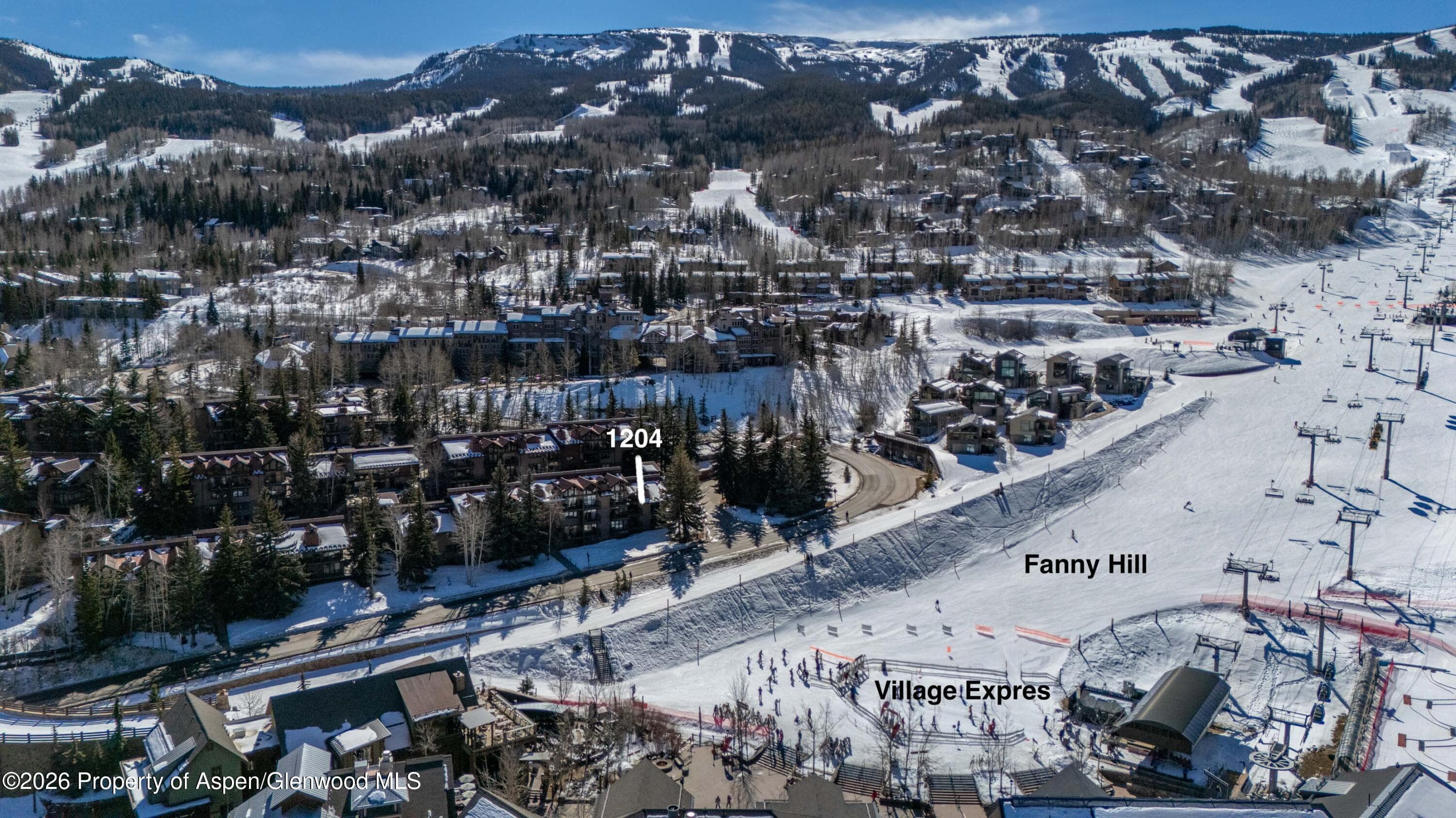 400 Wood Road 1204, Snowmass Village, CO 81615 - Photo 19