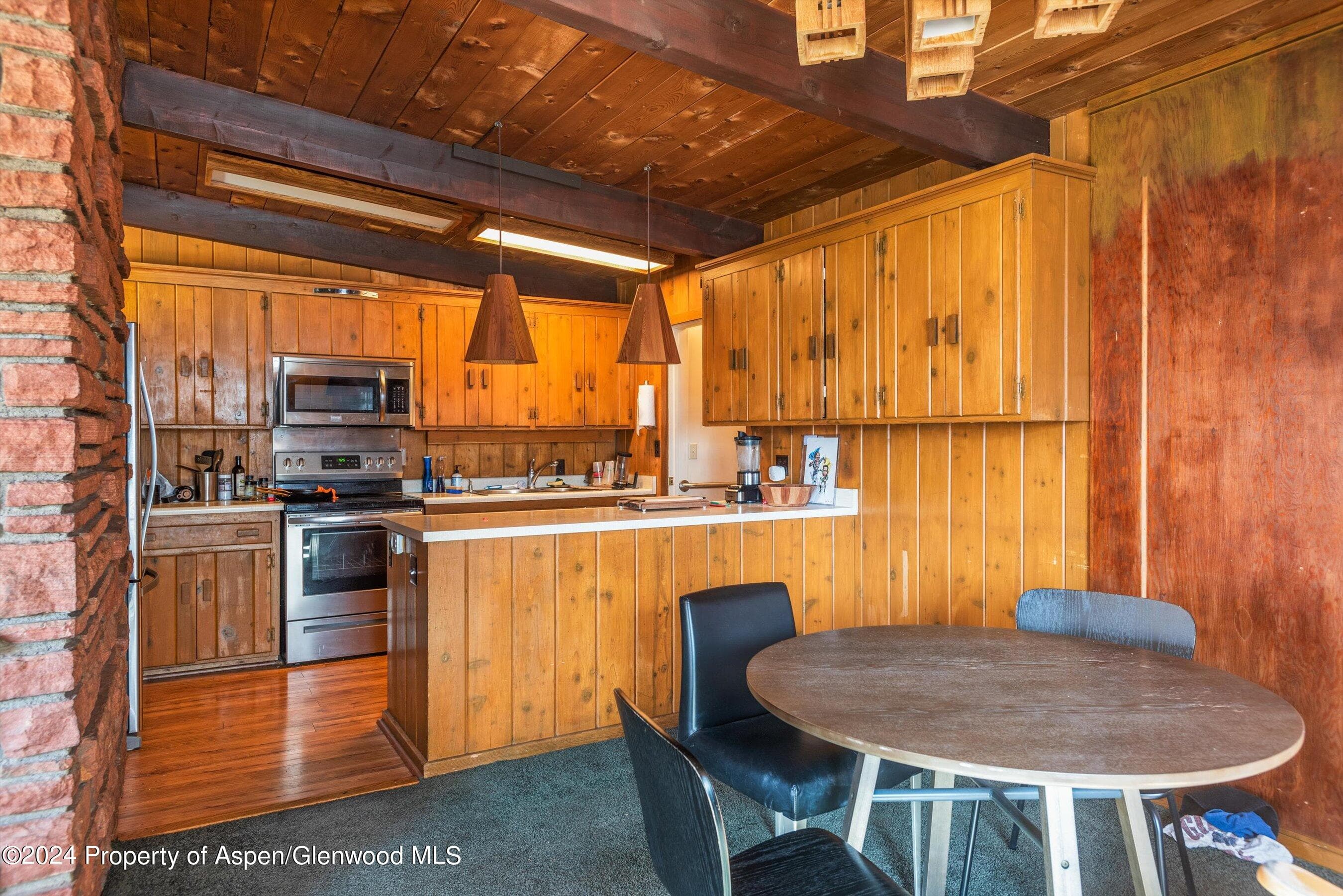 1227 Mountain View Drive Units 1 & 2, Aspen, CO 81611 - Photo 12