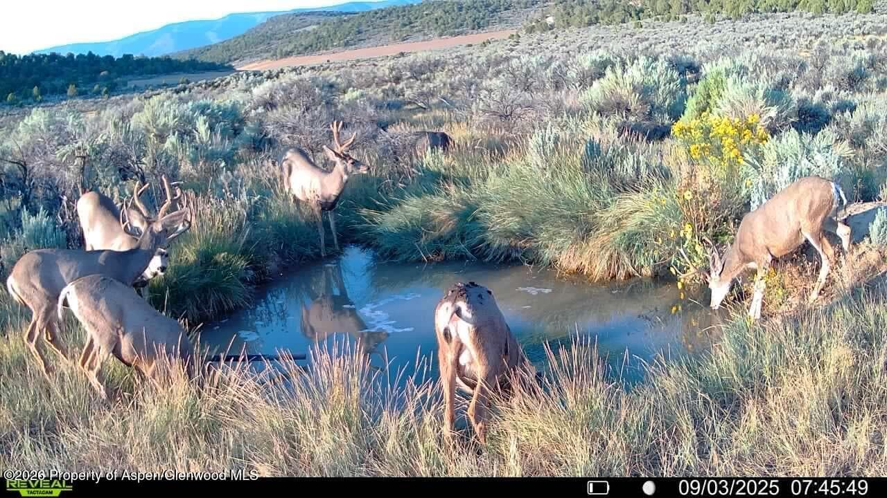 Tbd Cr 7, Meeker, CO 81641 - Photo 3