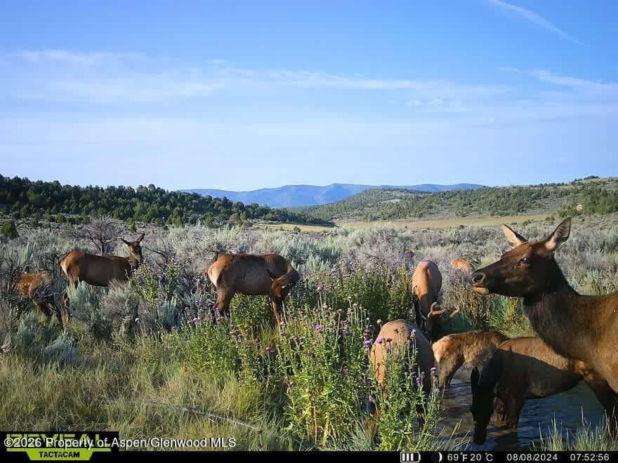 Tbd Cr 7, Meeker, CO 81641 - Photo 4