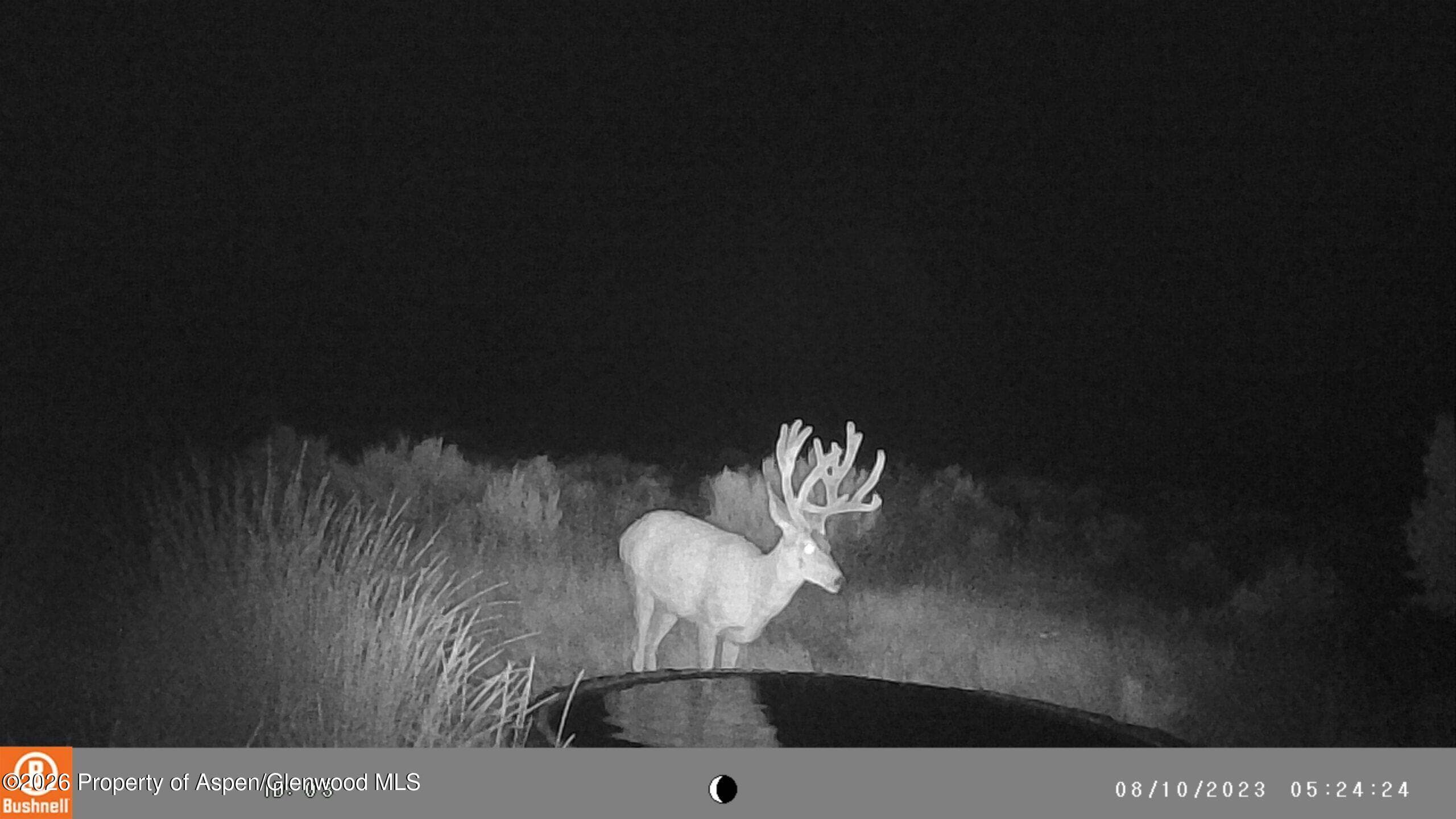 Tbd Cr 7, Meeker, CO 81641 - Photo 5