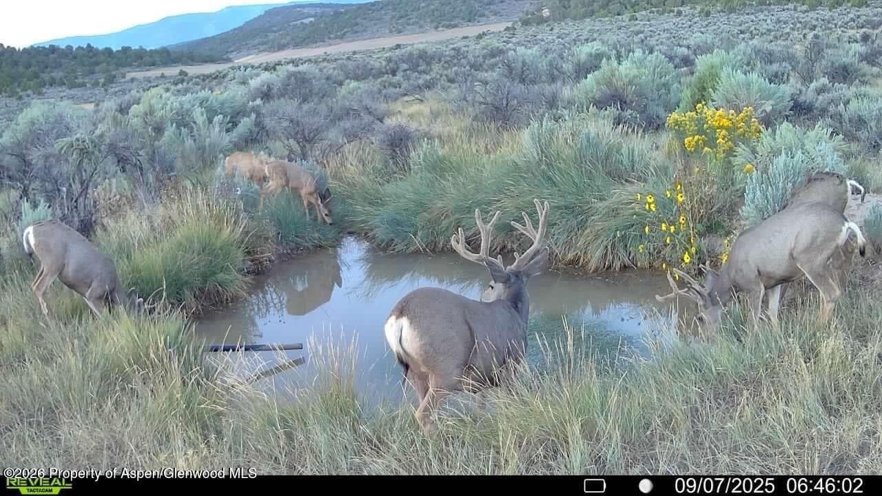 Tbd Cr 7, Meeker, CO 81641 - Photo 9