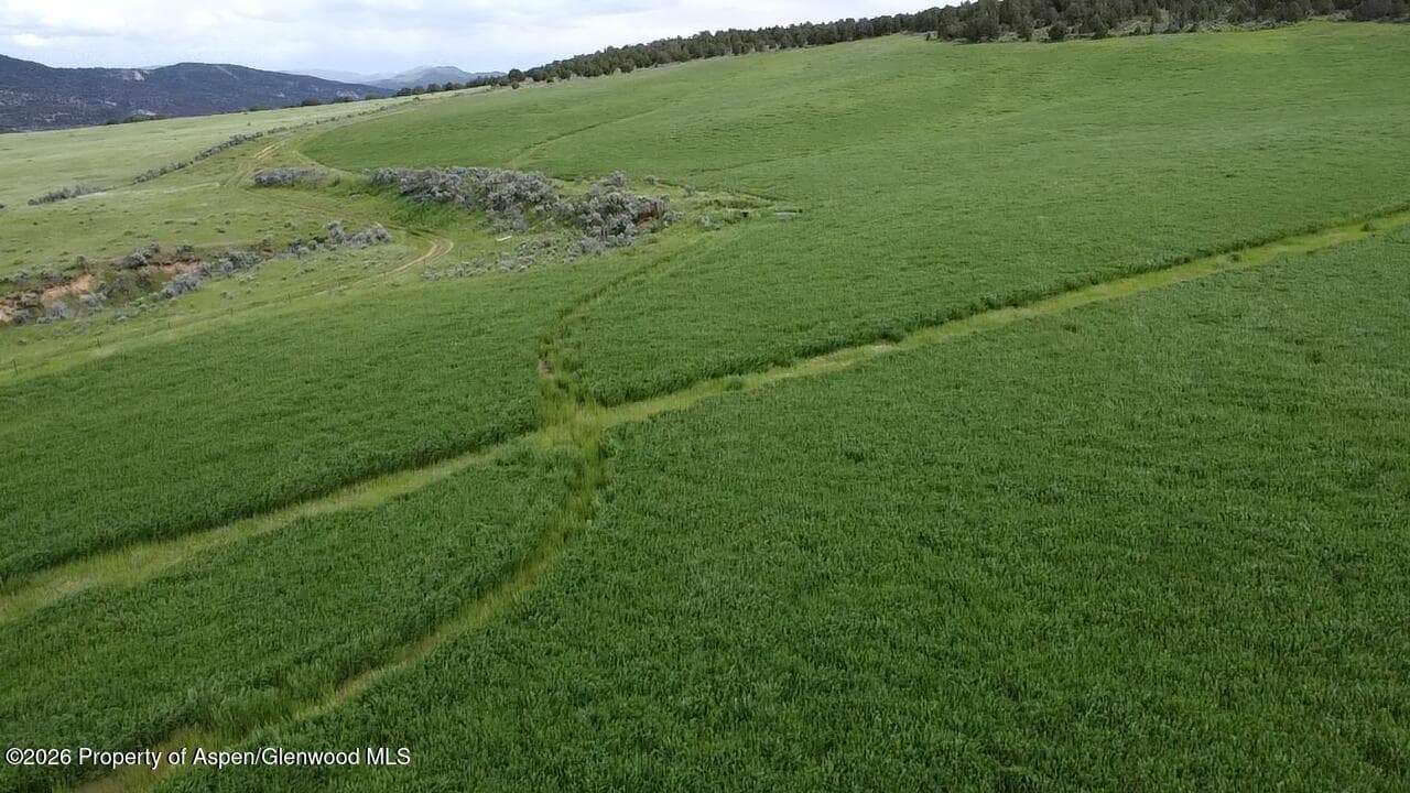 Tbd Cr 7, Meeker, CO 81641 - Photo 13