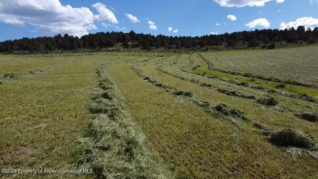Tbd Cr 7, Meeker, CO 81641 - Photo 14