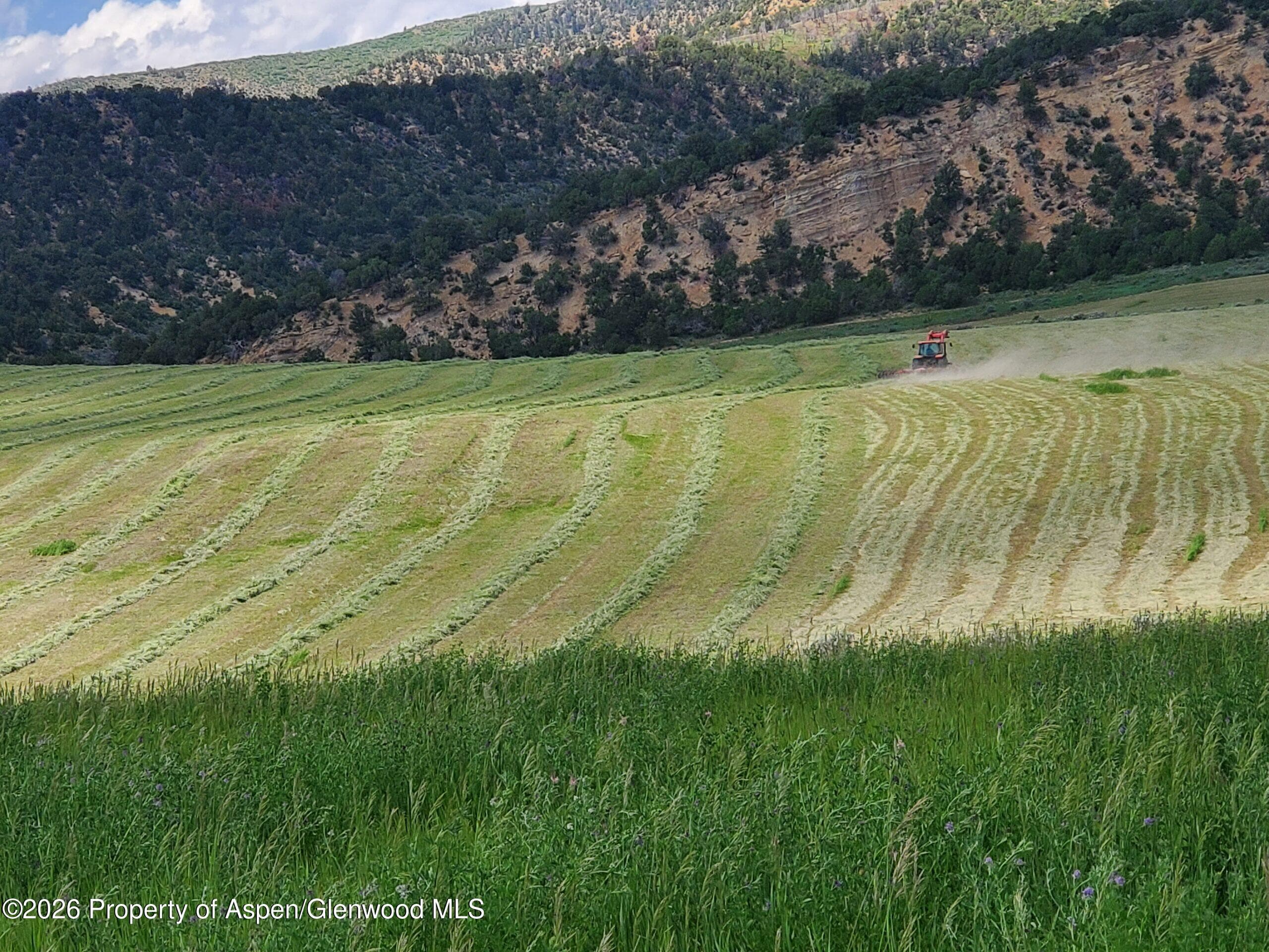 Tbd Cr 7, Meeker, CO 81641 - Photo 16
