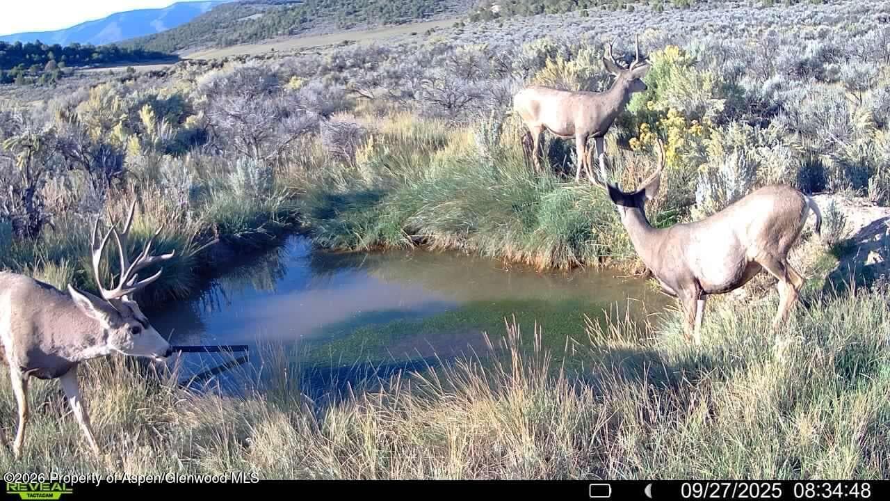 Tbd Cr 7, Meeker, CO 81641 - Photo 17