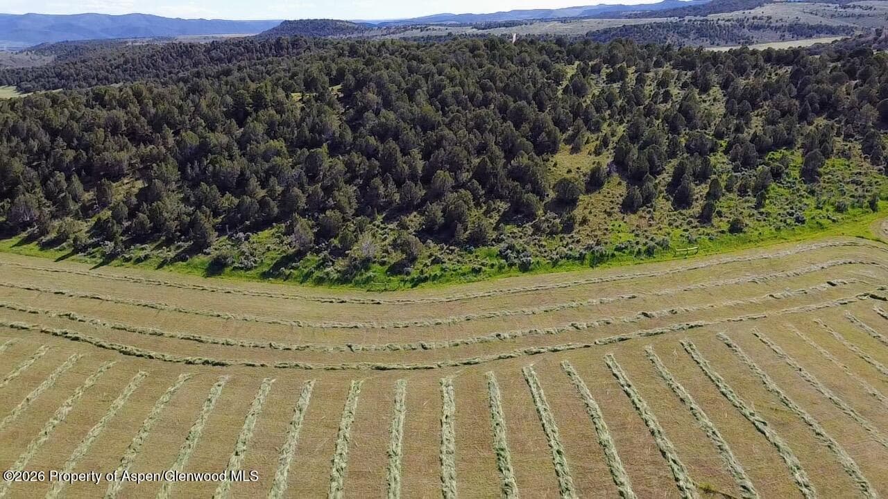 Tbd Cr 7, Meeker, CO 81641 - Photo 24