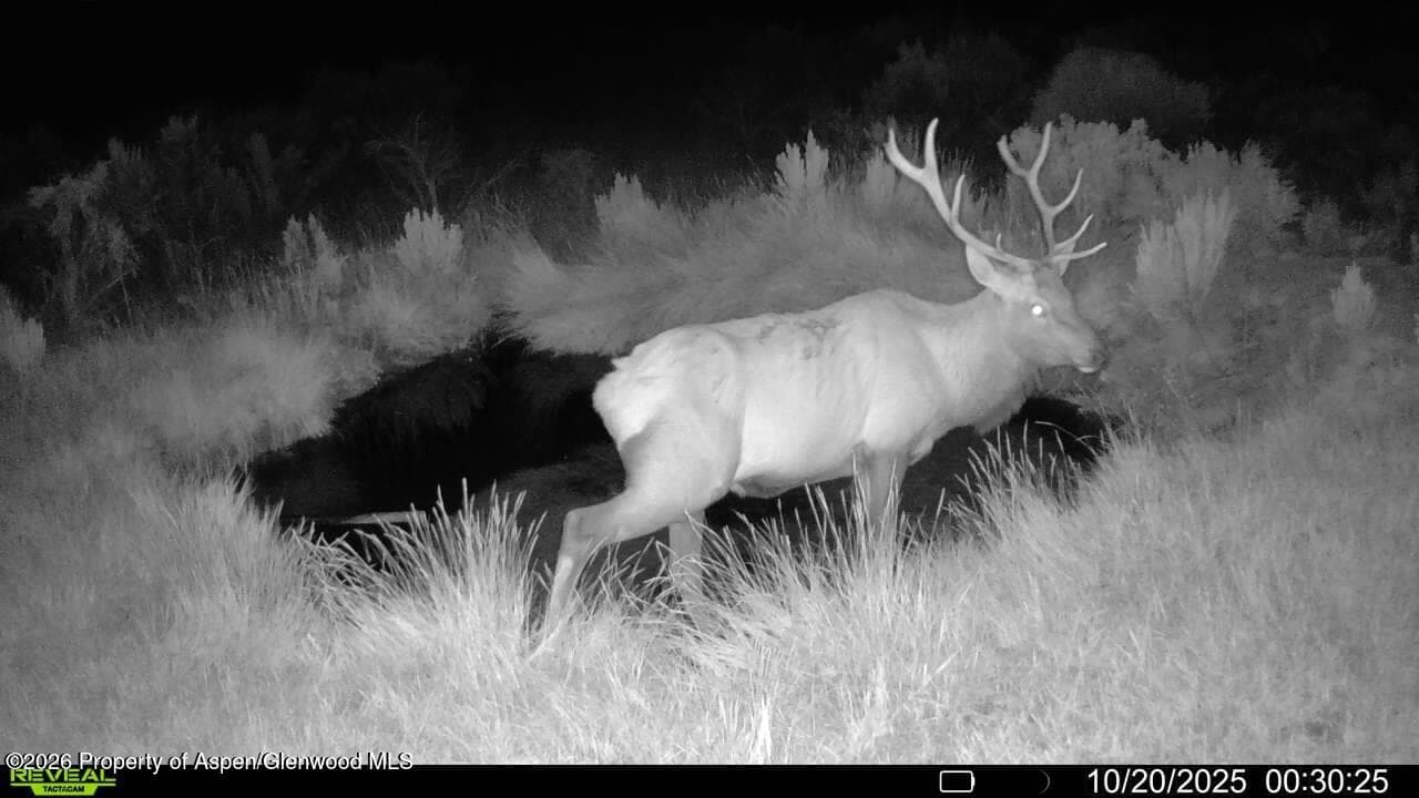 Tbd Cr 7, Meeker, CO 81641 - Photo 27
