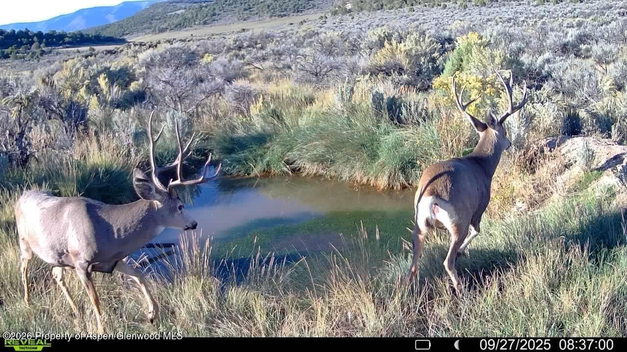 Tbd Cr 7, Meeker, CO 81641 - Photo 32
