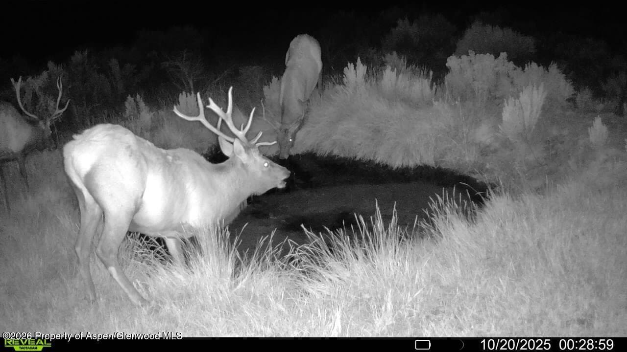 Tbd Cr 7, Meeker, CO 81641 - Photo 33