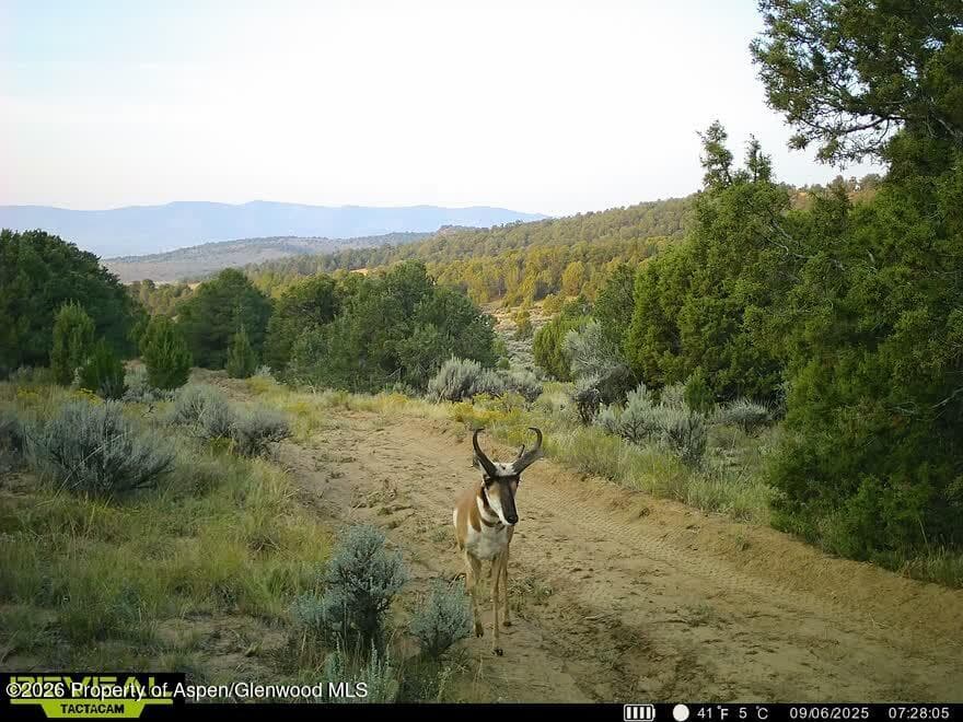 Tbd Cr 7, Meeker, CO 81641 - Photo 38