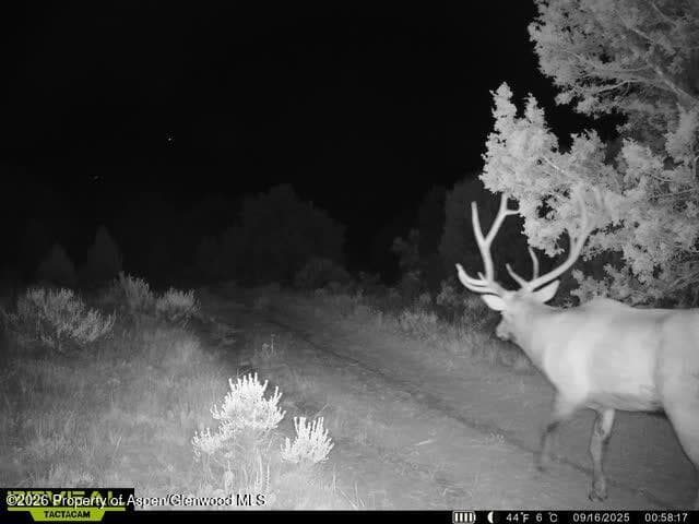 Tbd Cr 7, Meeker, CO 81641 - Photo 39
