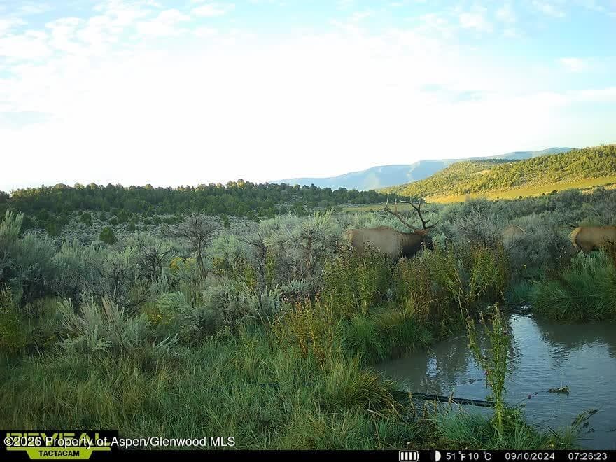 Tbd Cr 7, Meeker, CO 81641 - Photo 42