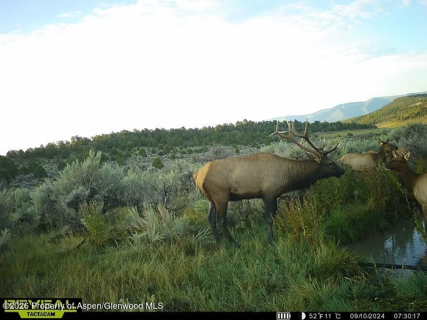Tbd Cr 7, Meeker, CO 81641 - Photo 43