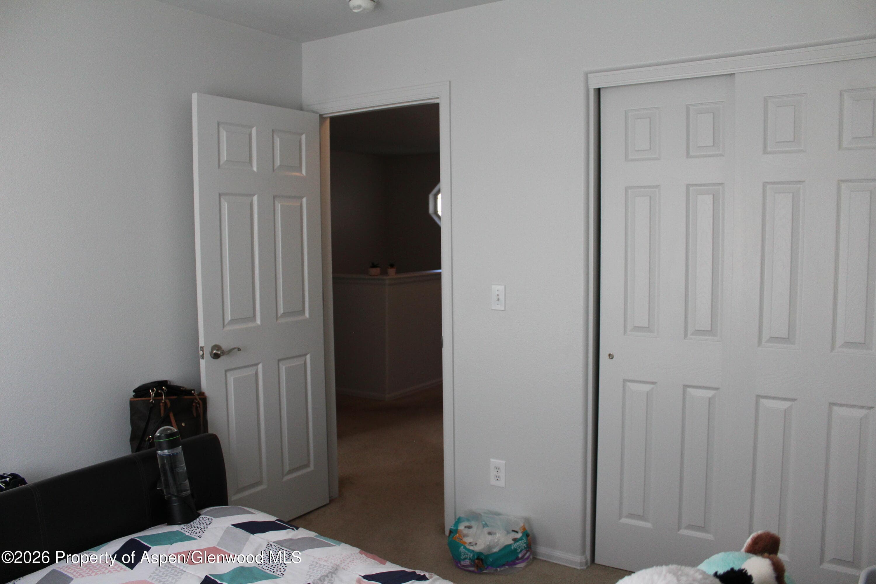 21 Bryan Loop, Parachute, CO 81635 - Photo 5