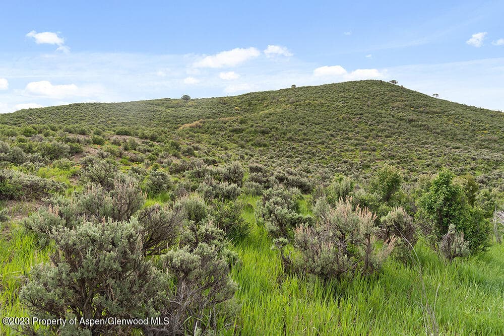 000 Lazy O Road Lot #4, Snowmass, CO 81654 - Photo 5