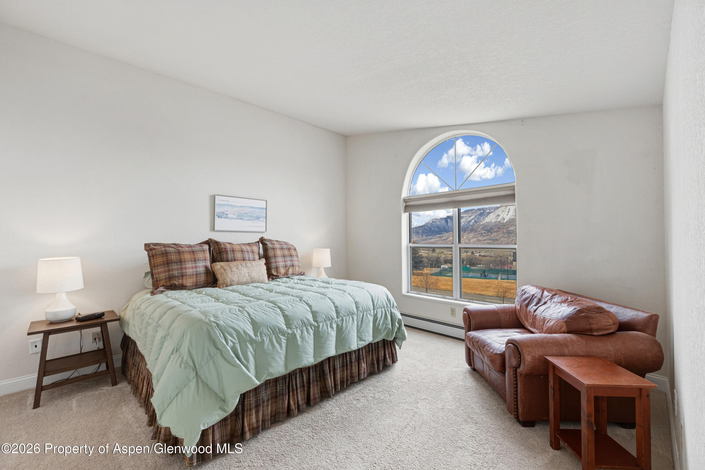 14 W Ridge Court, Battlement Mesa, CO 81635 - Photo 12