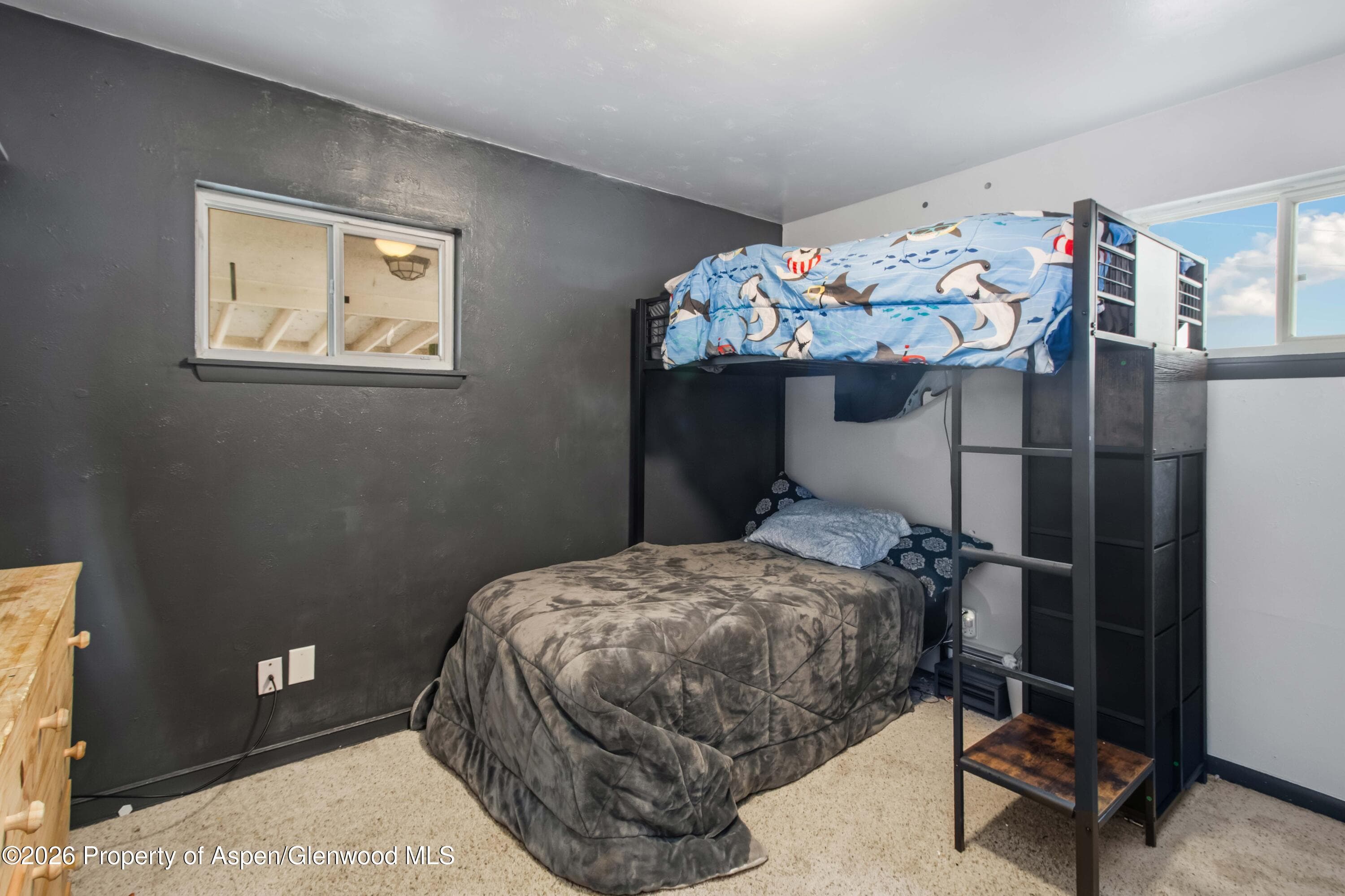 236 Ash Avenue, Rifle, CO 81650 - Photo 9